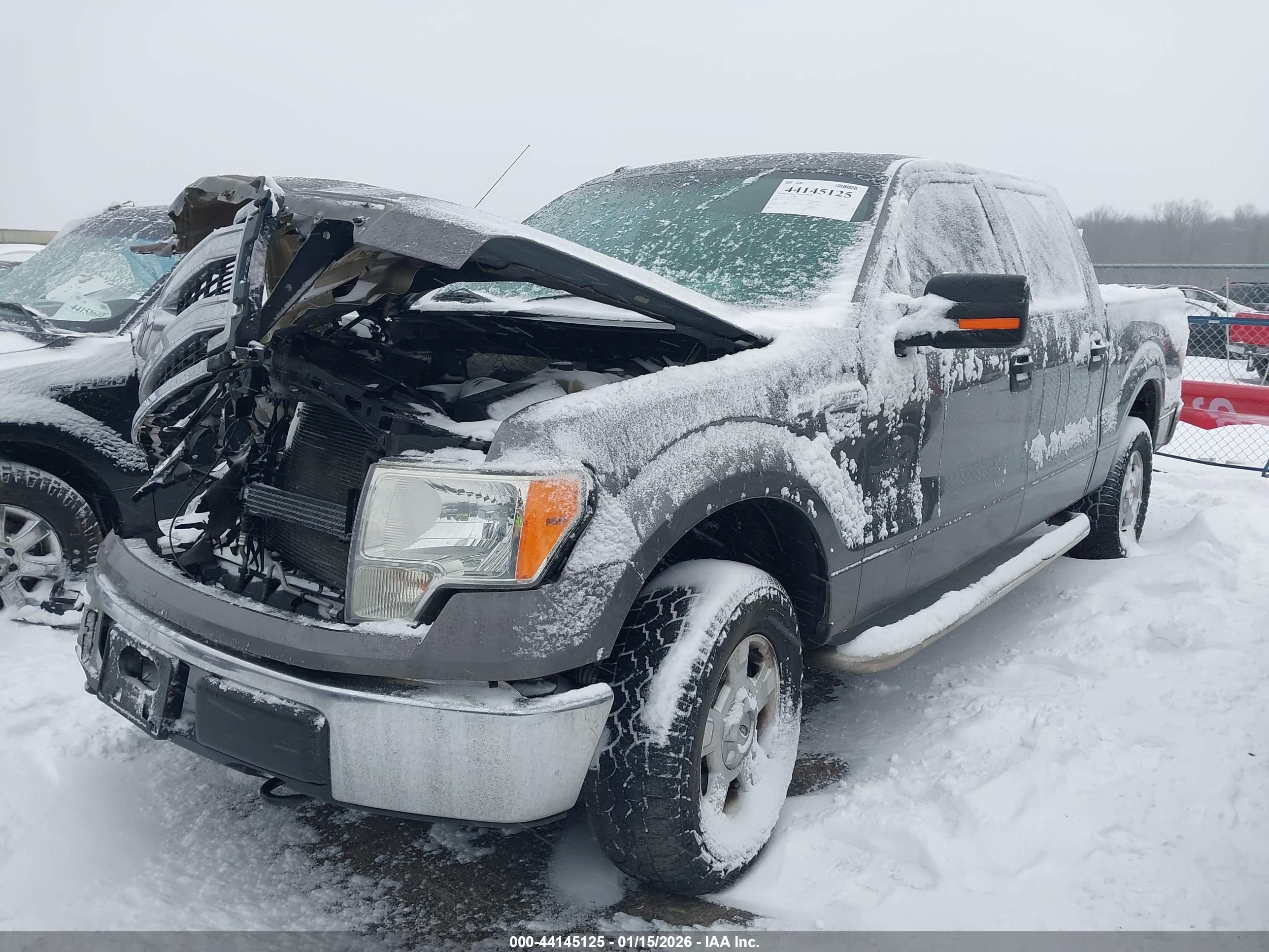 FORD F-150 image 2