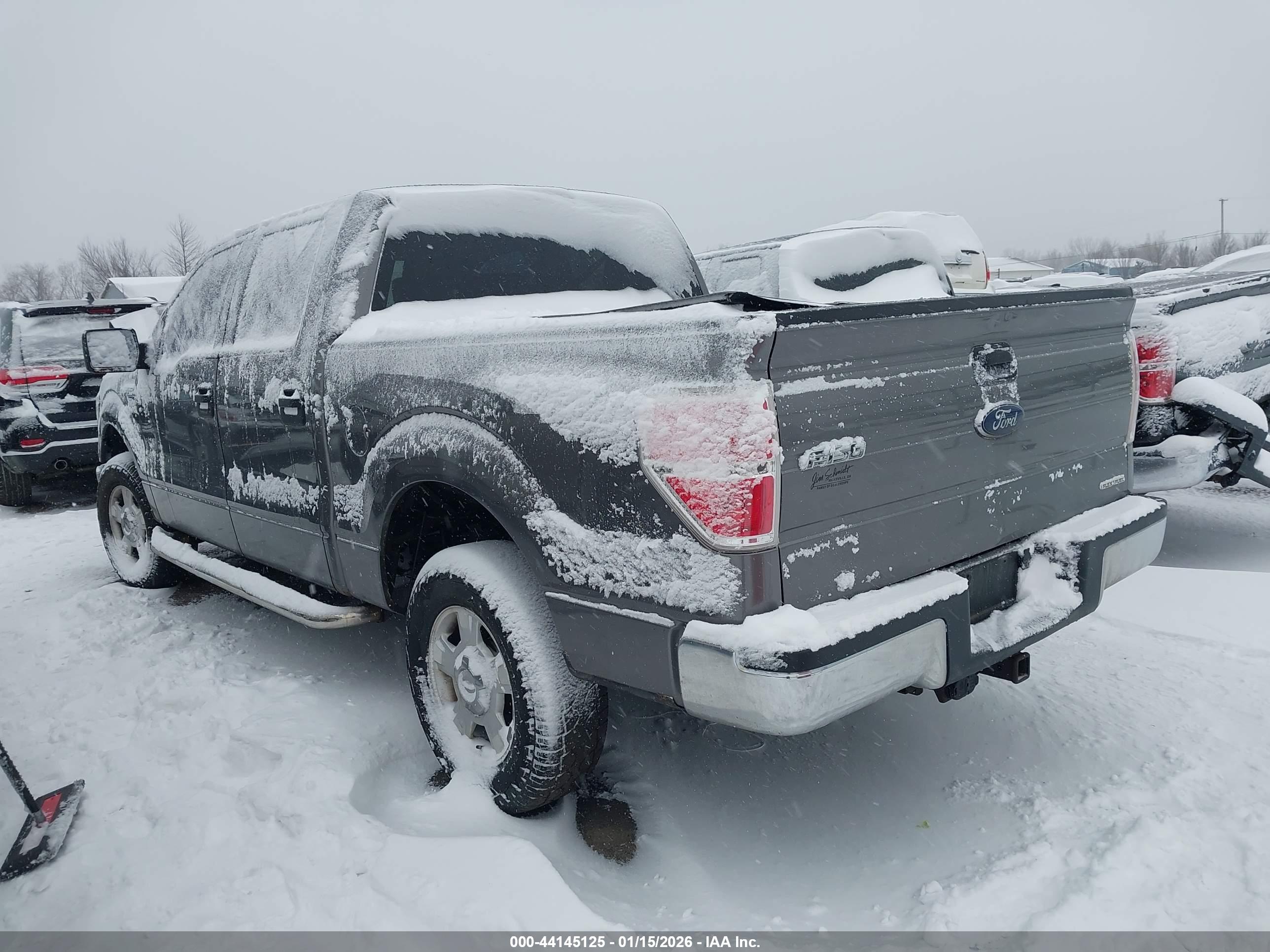 FORD F-150 image 3