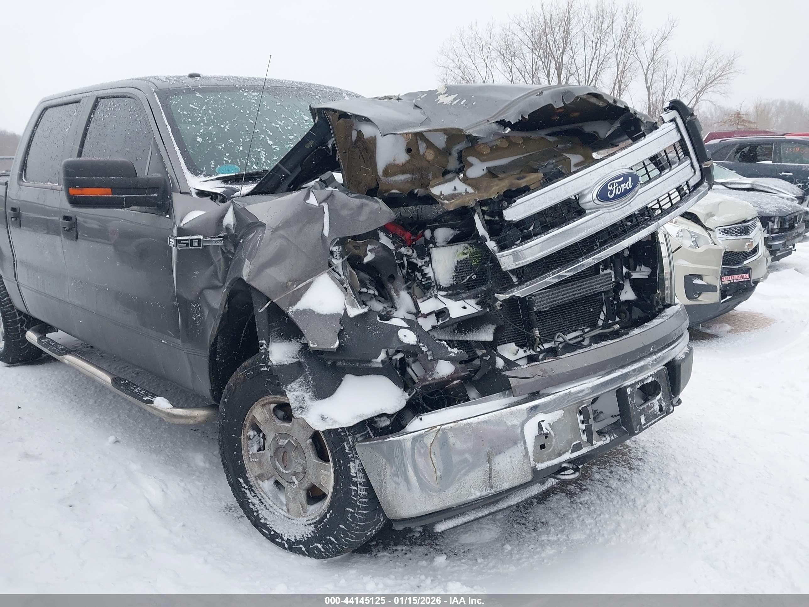 FORD F-150 image 6