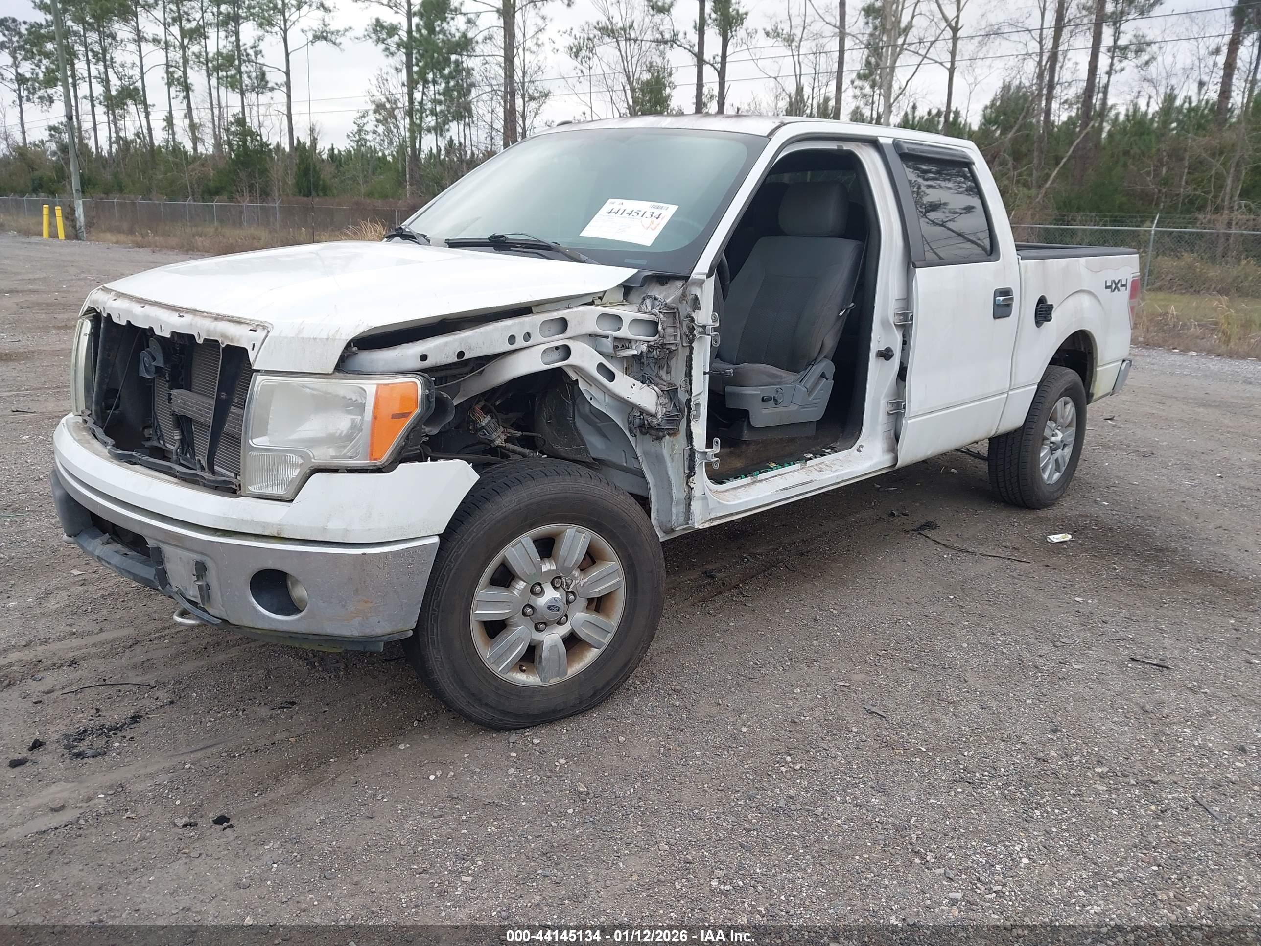 FORD F-150 image 2