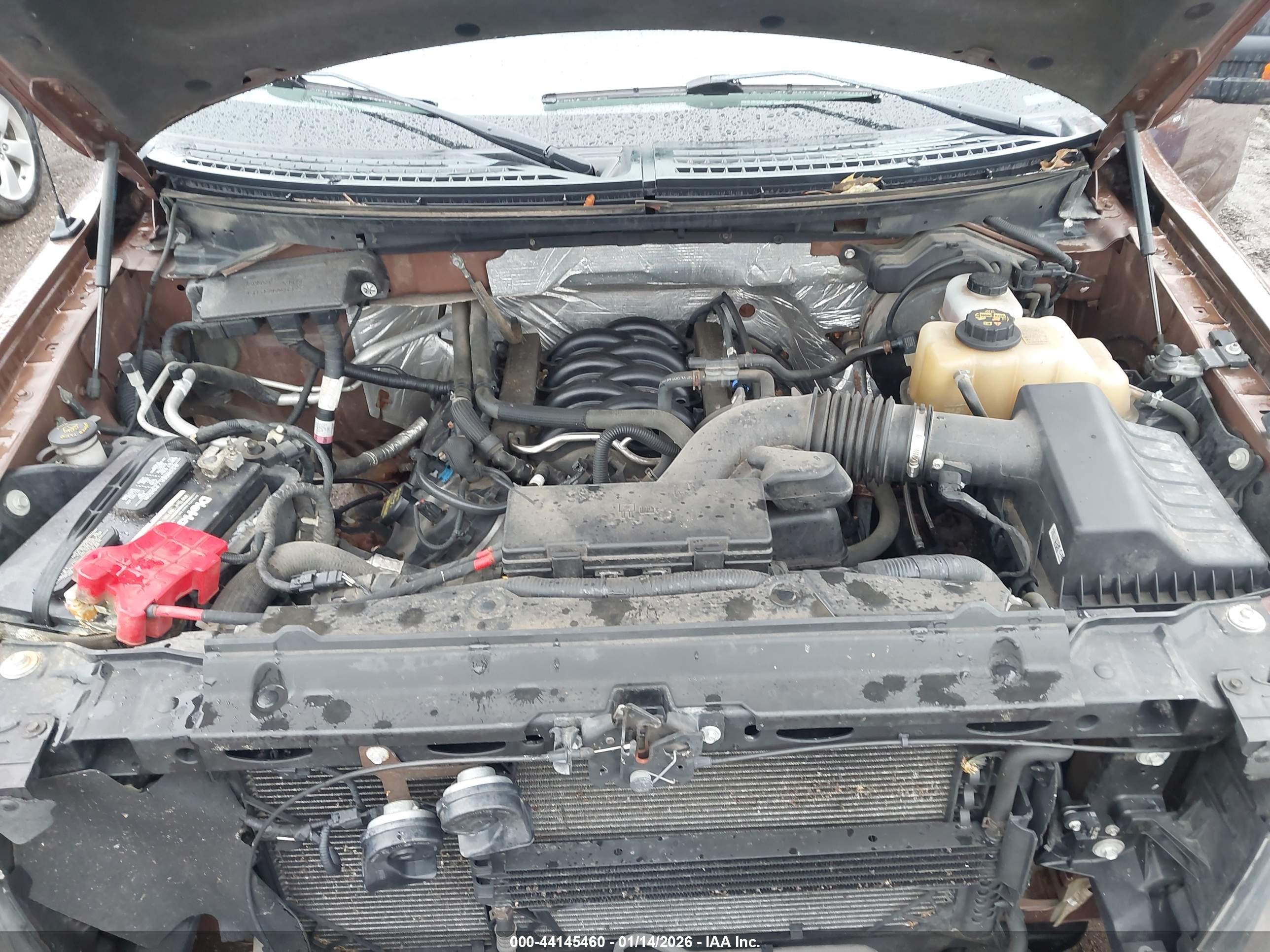 FORD F-150 image 10