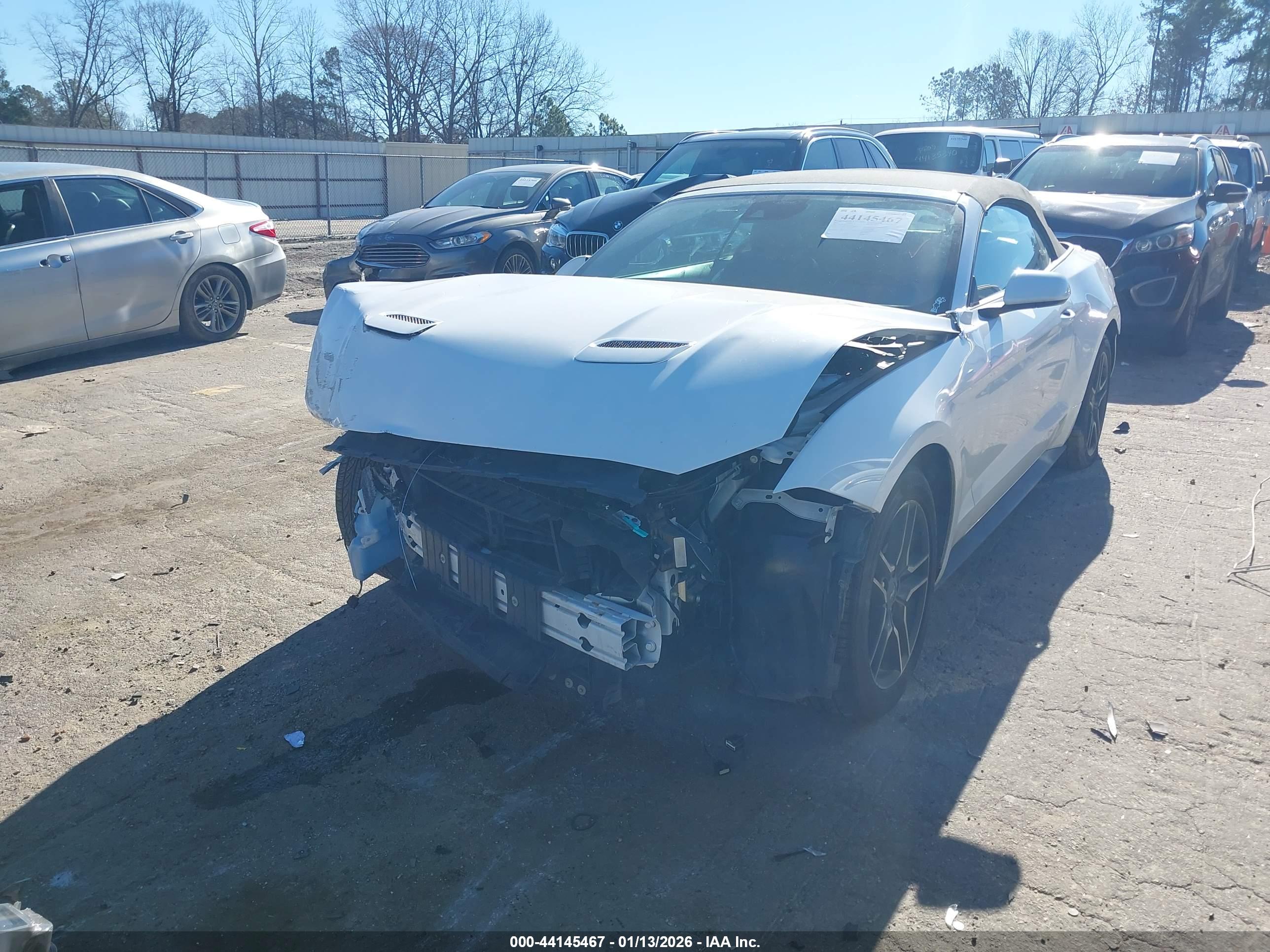 FORD MUSTANG image 6