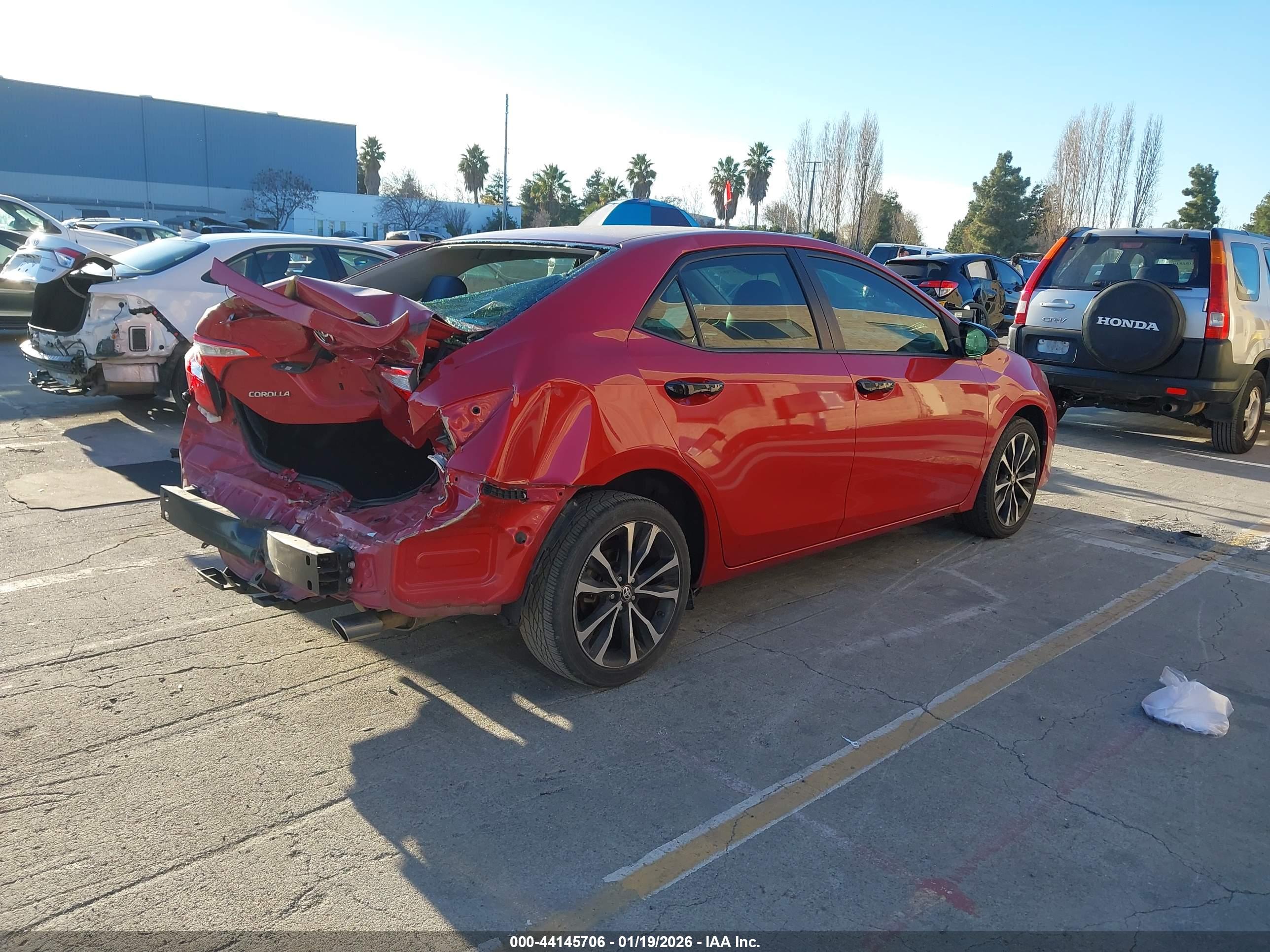 TOYOTA COROLLA image 4