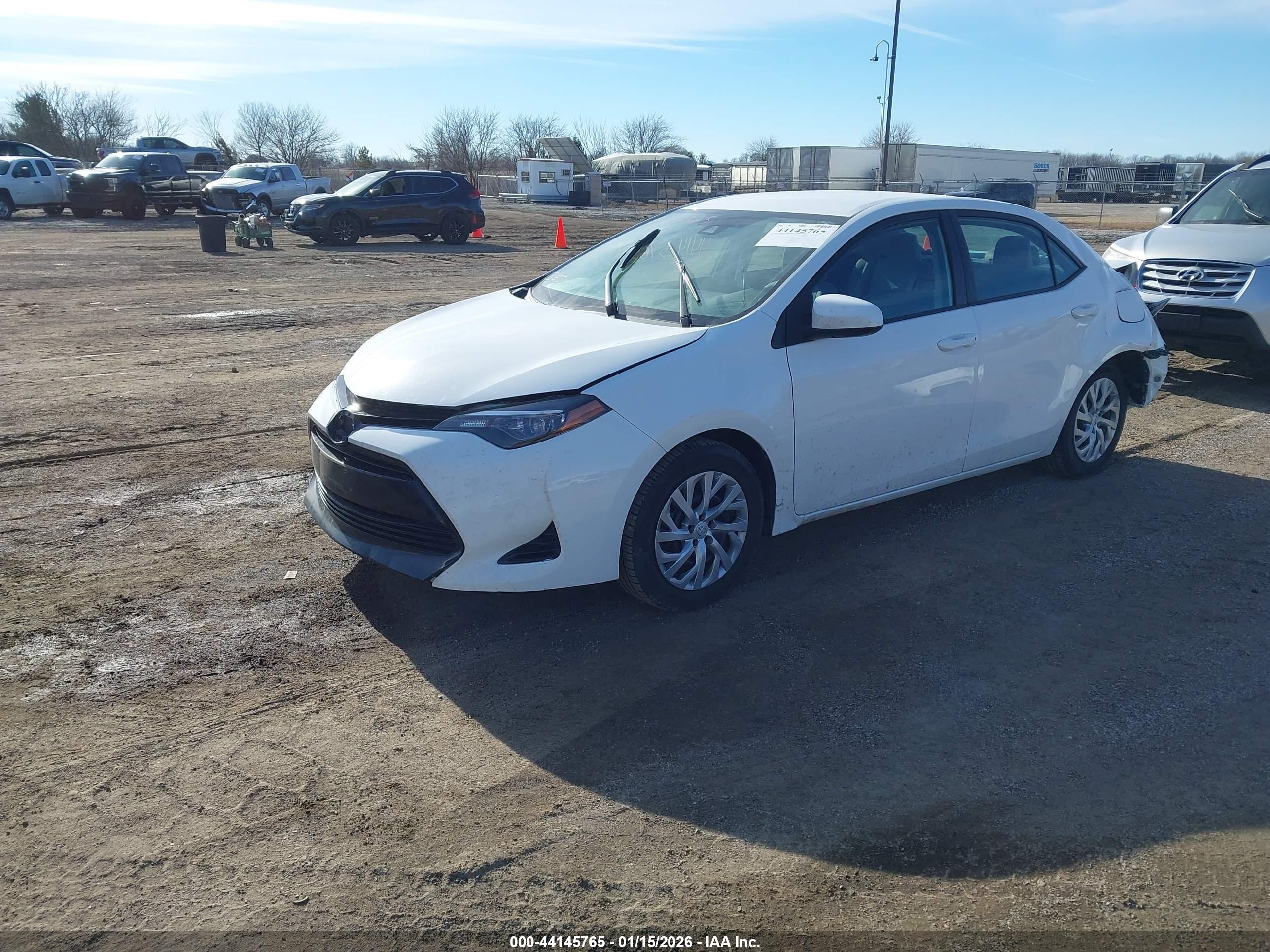 TOYOTA COROLLA image 2