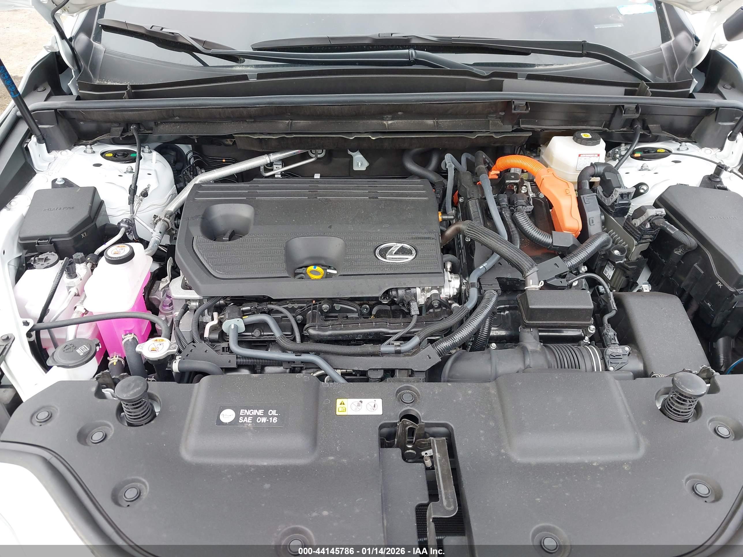 LEXUS NX image 10
