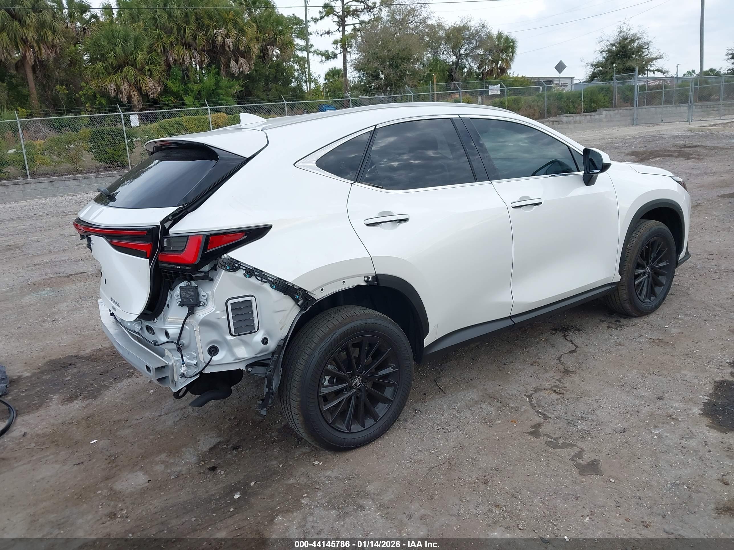 LEXUS NX image 4