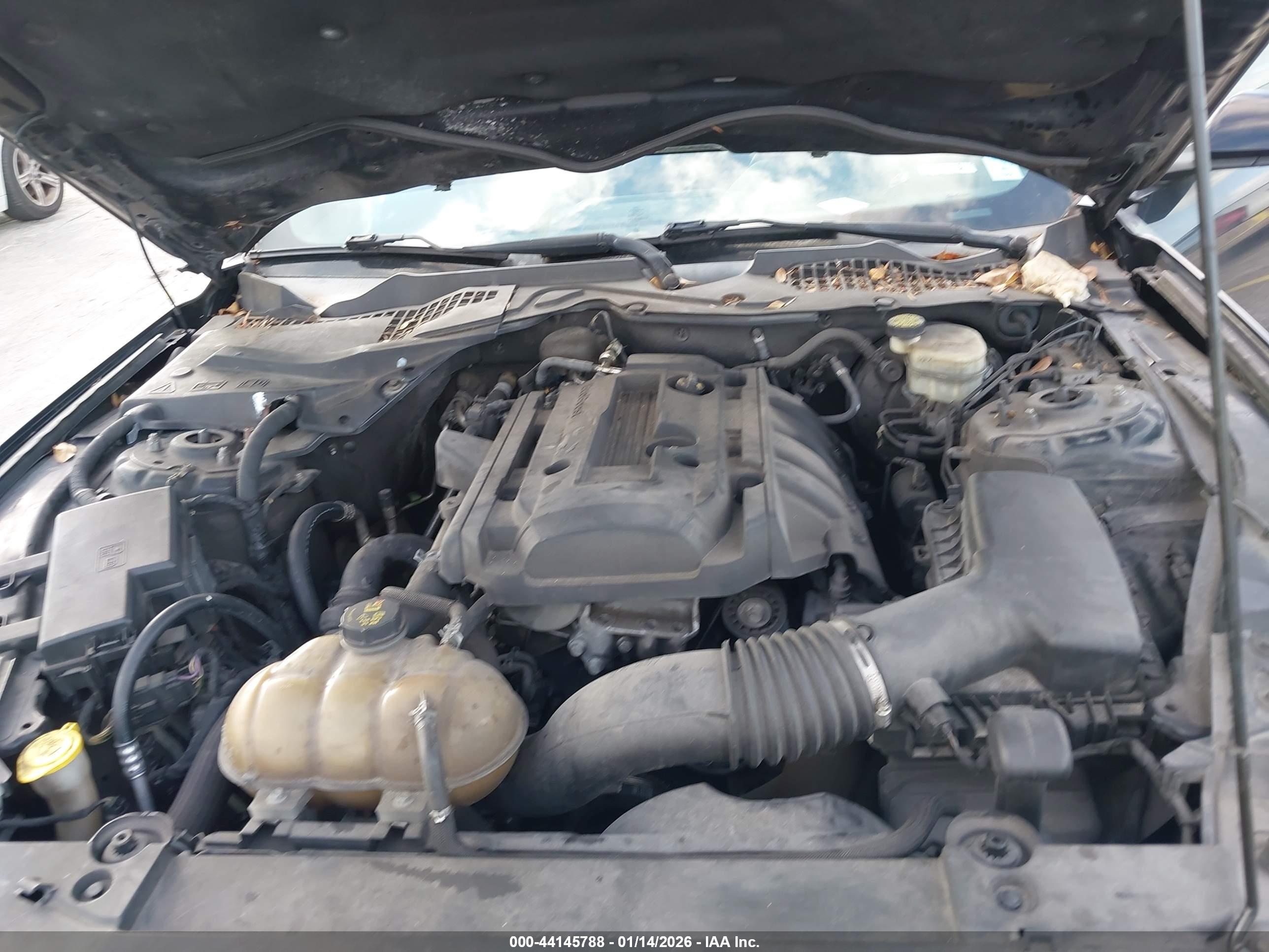 FORD MUSTANG image 10