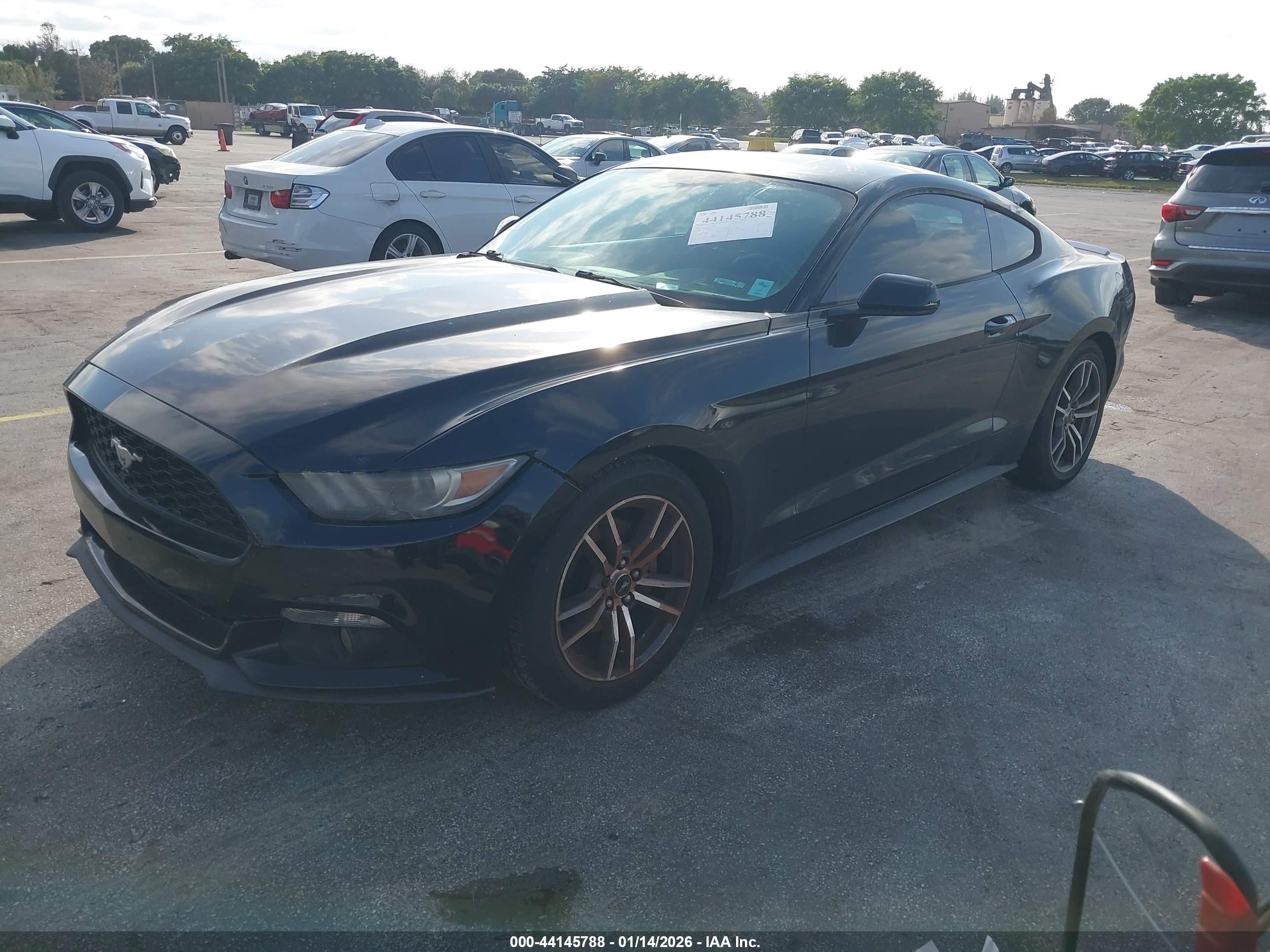 FORD MUSTANG image 2