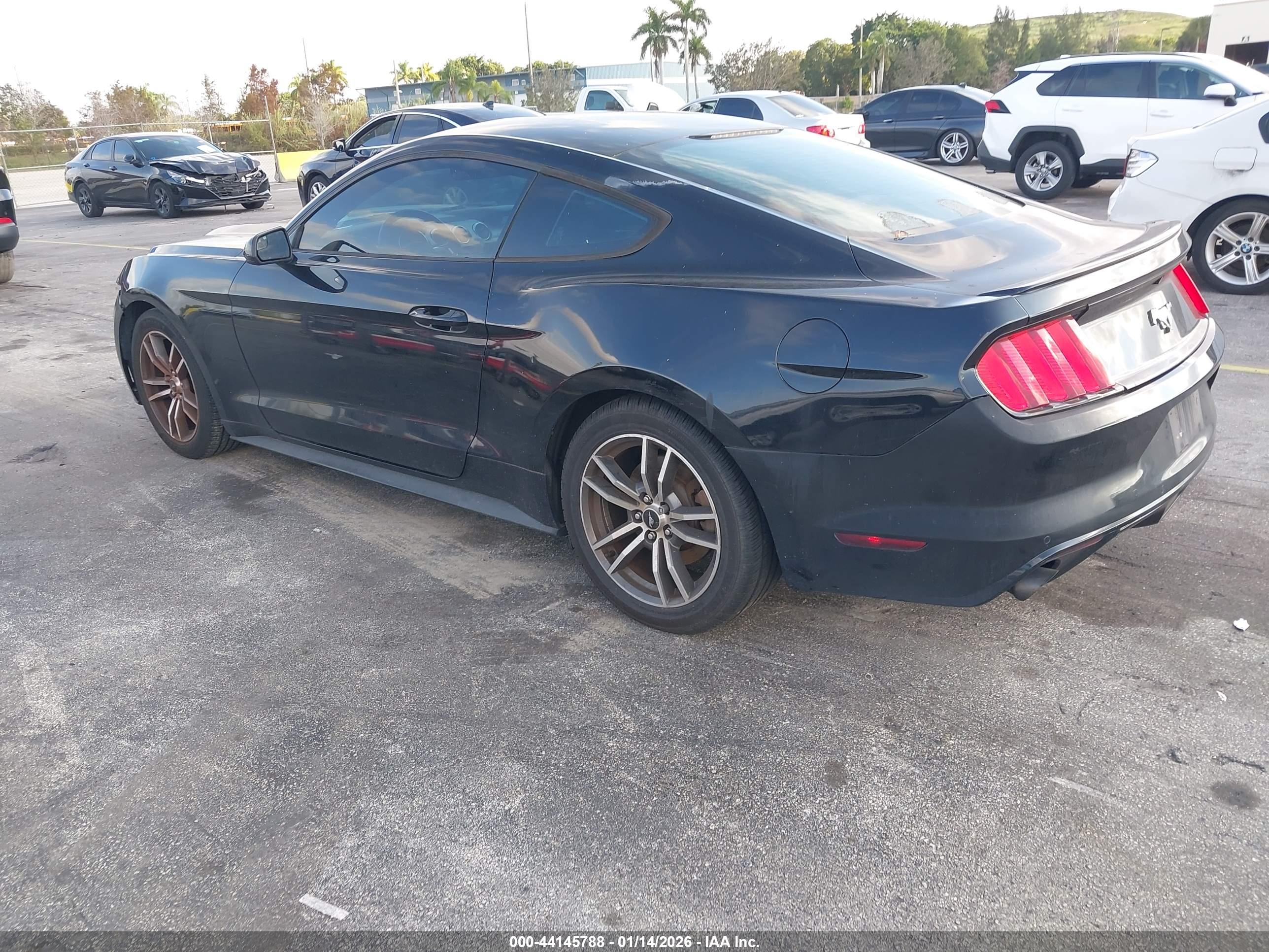 FORD MUSTANG image 3