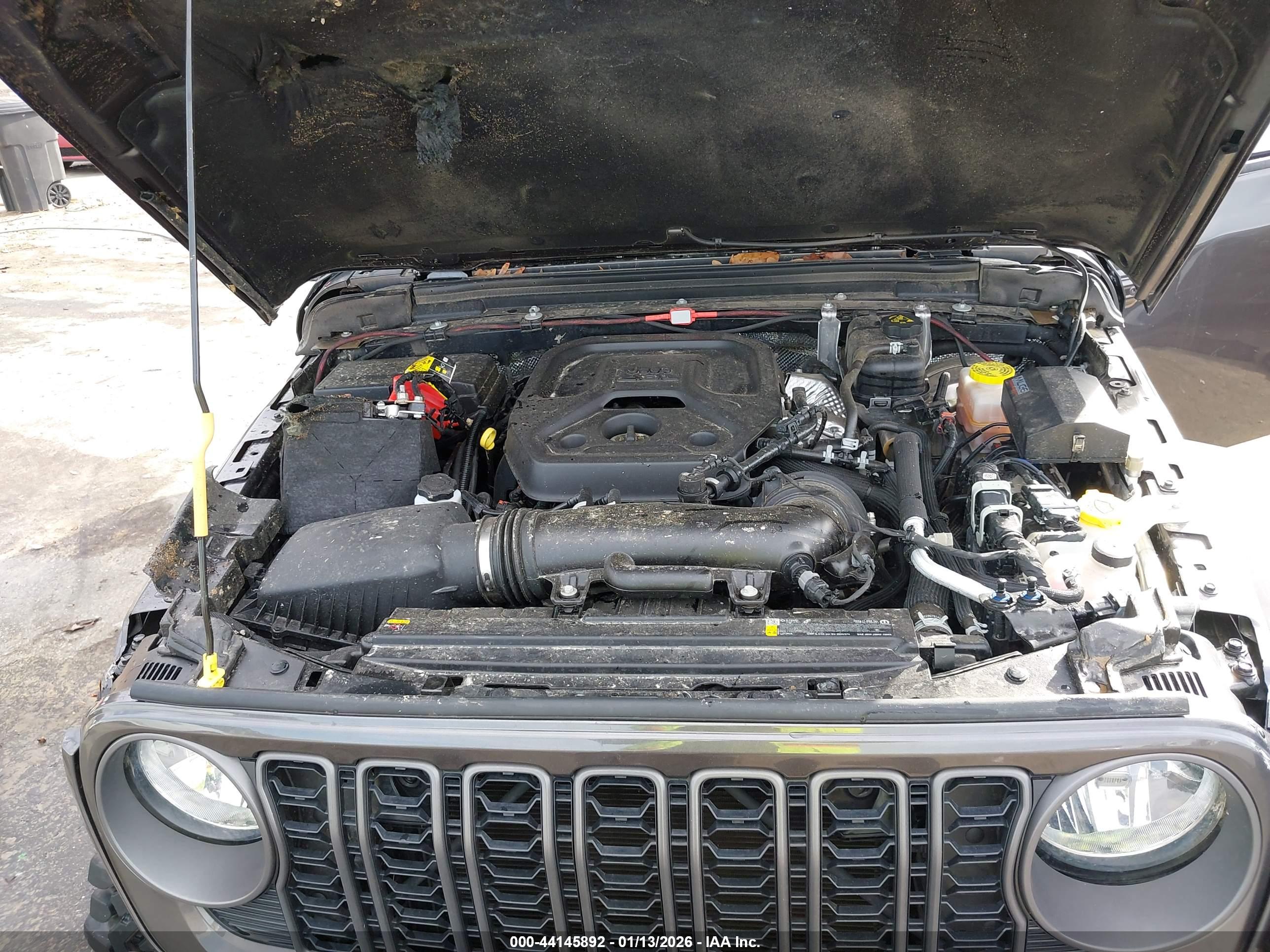 JEEP WRANGLER image 10