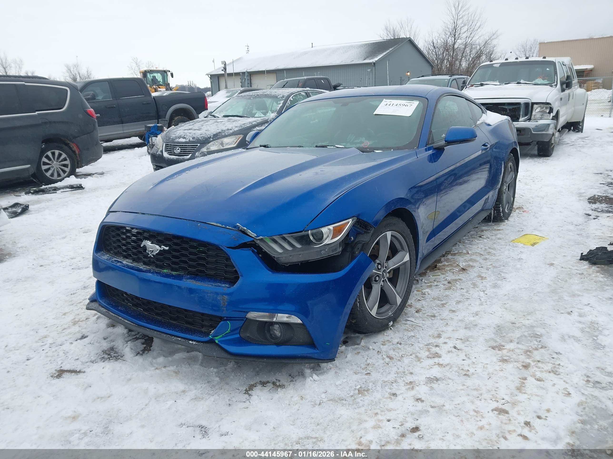 FORD MUSTANG image 2