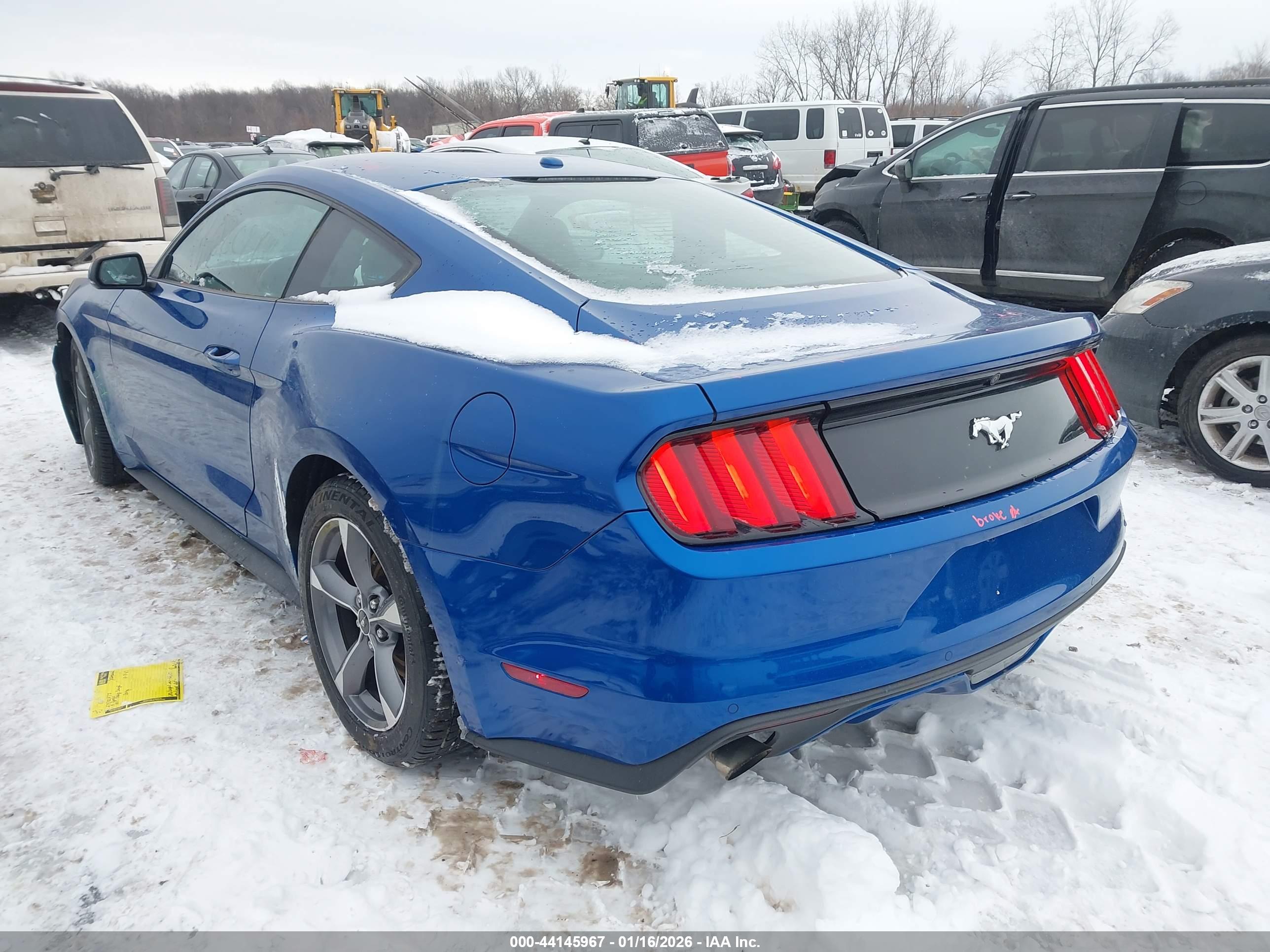 FORD MUSTANG image 3