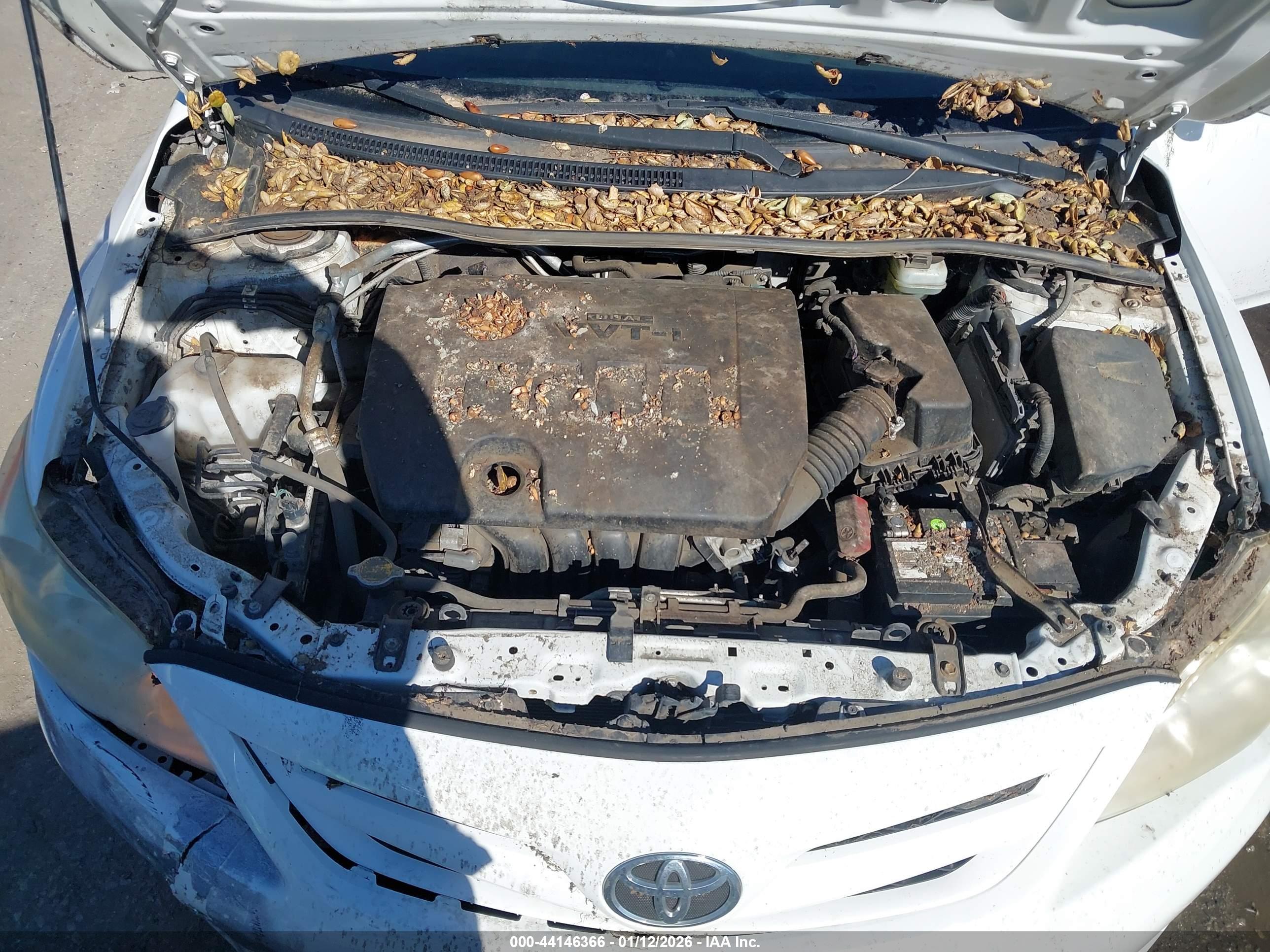TOYOTA COROLLA image 10