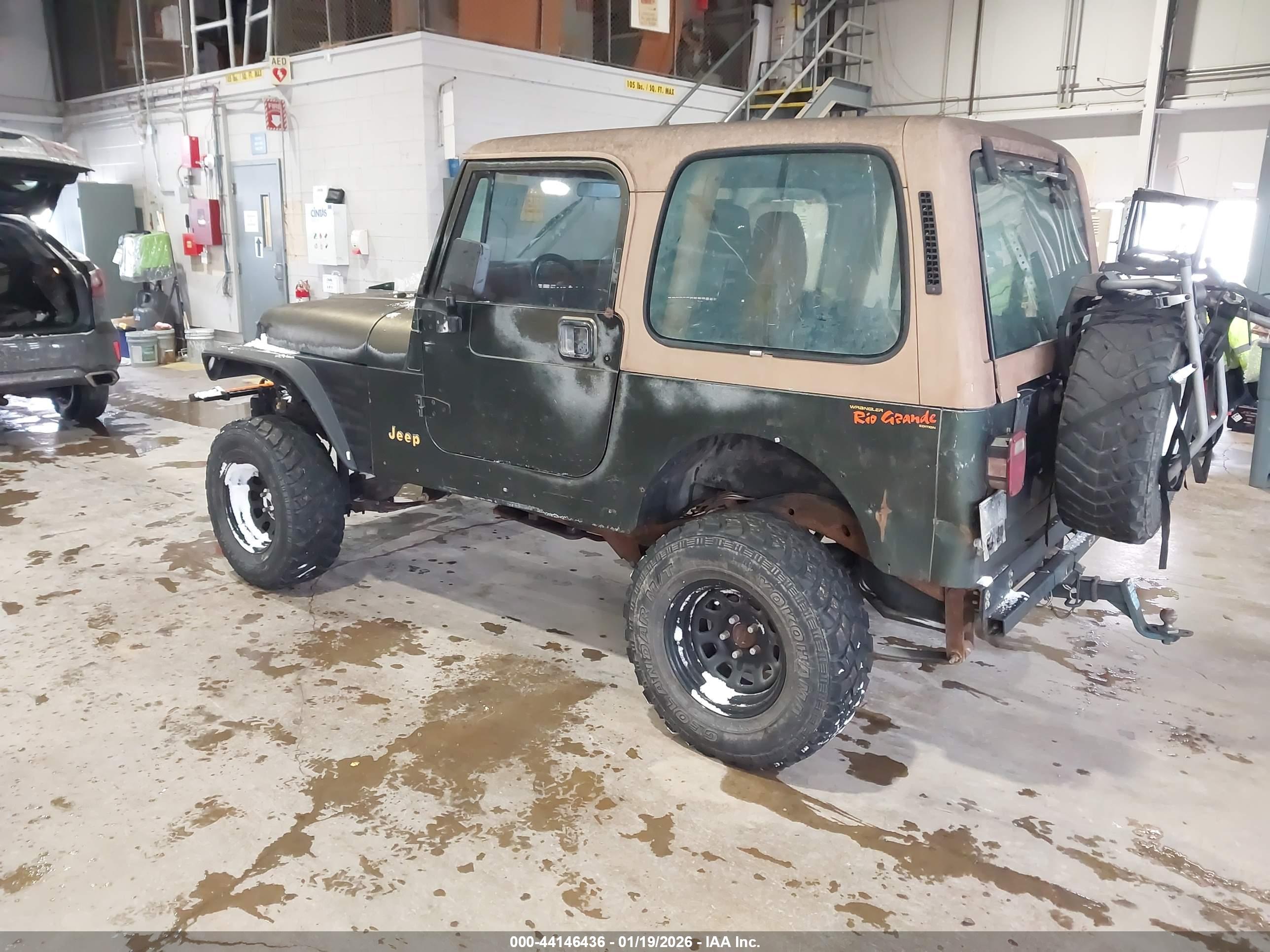 JEEP WRANGLER image 3