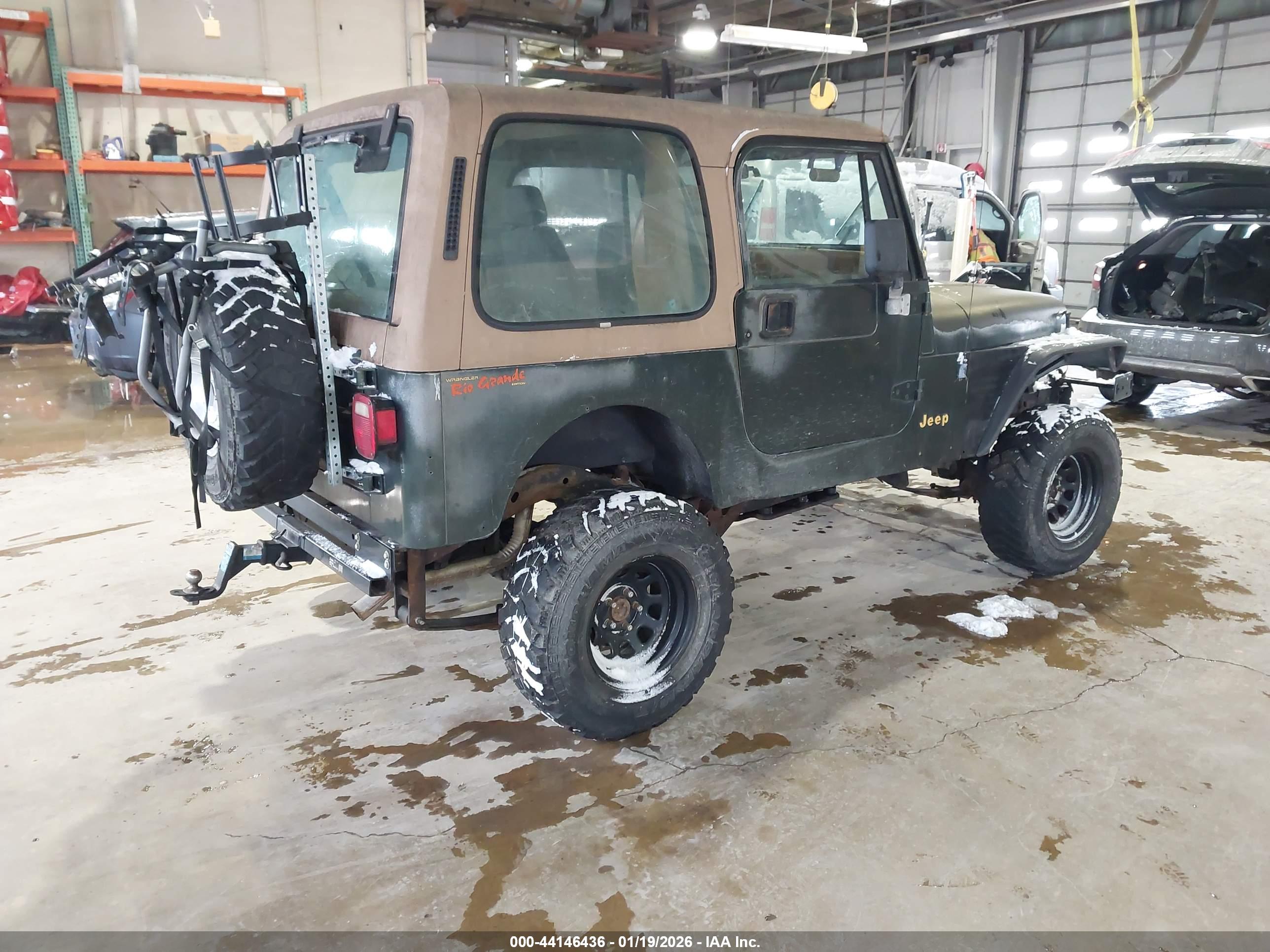 JEEP WRANGLER image 4