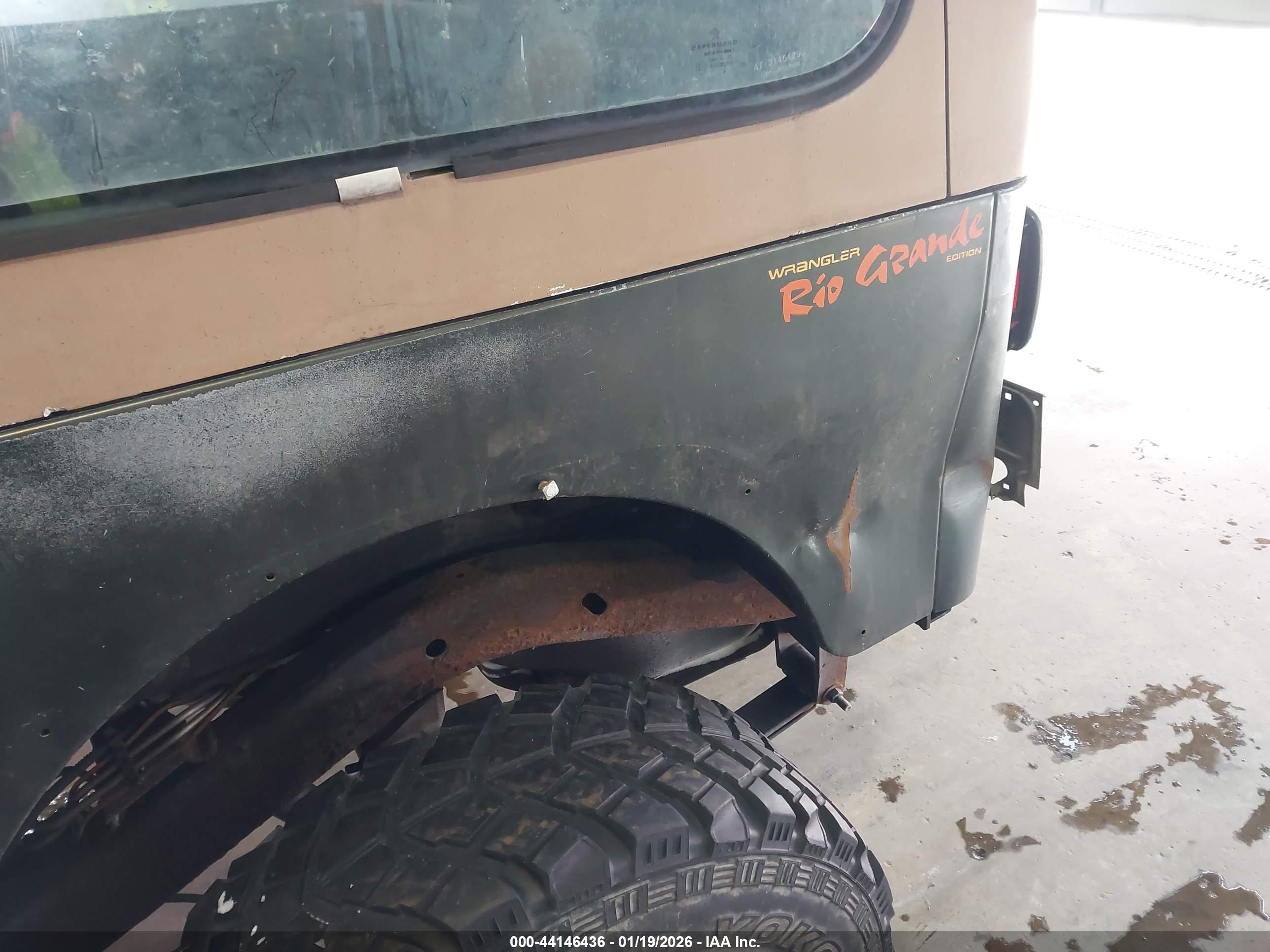JEEP WRANGLER image 6