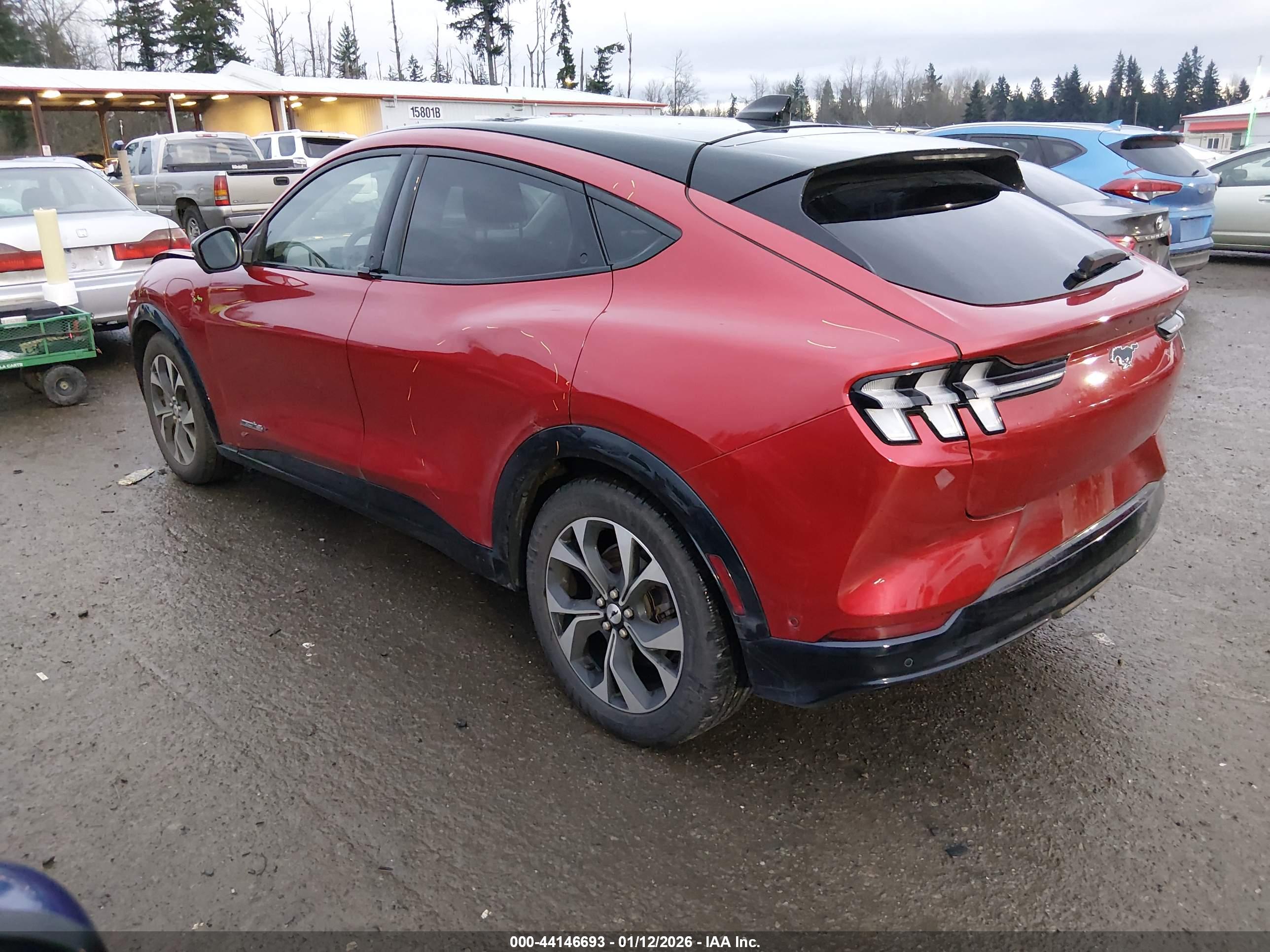 FORD MUSTANG image 3
