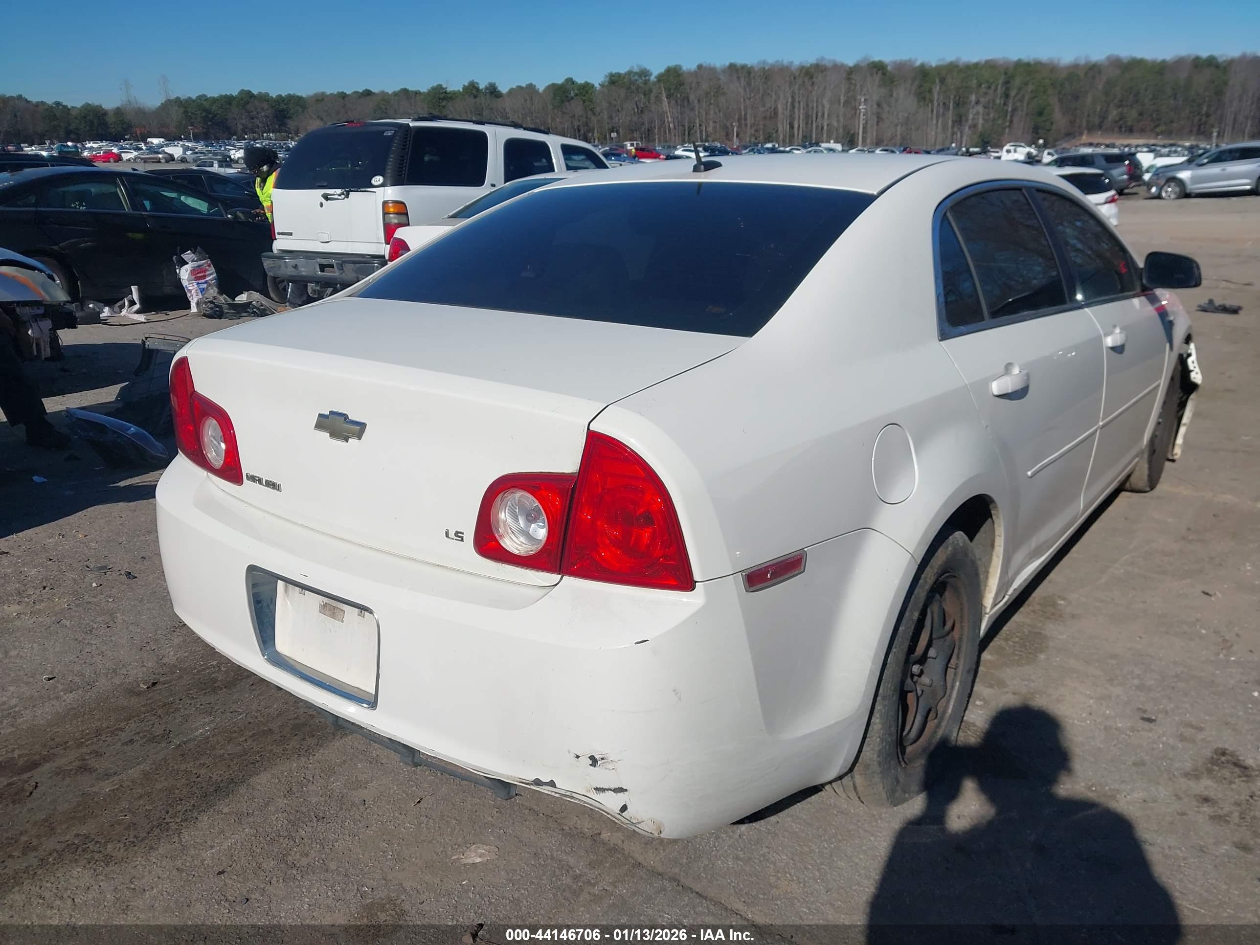 CHEVROLET MALIBU image 4
