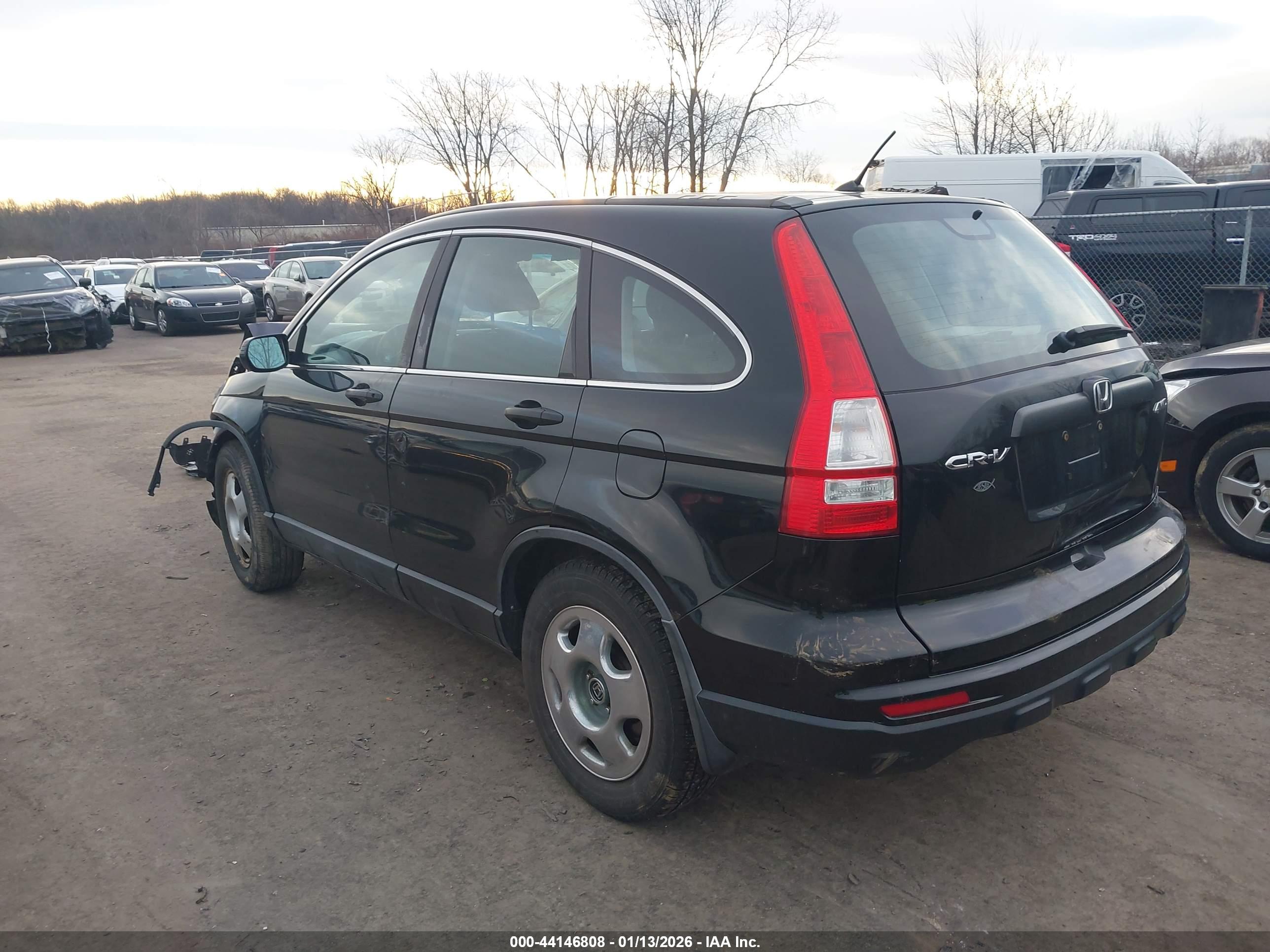 HONDA CR-V image 3