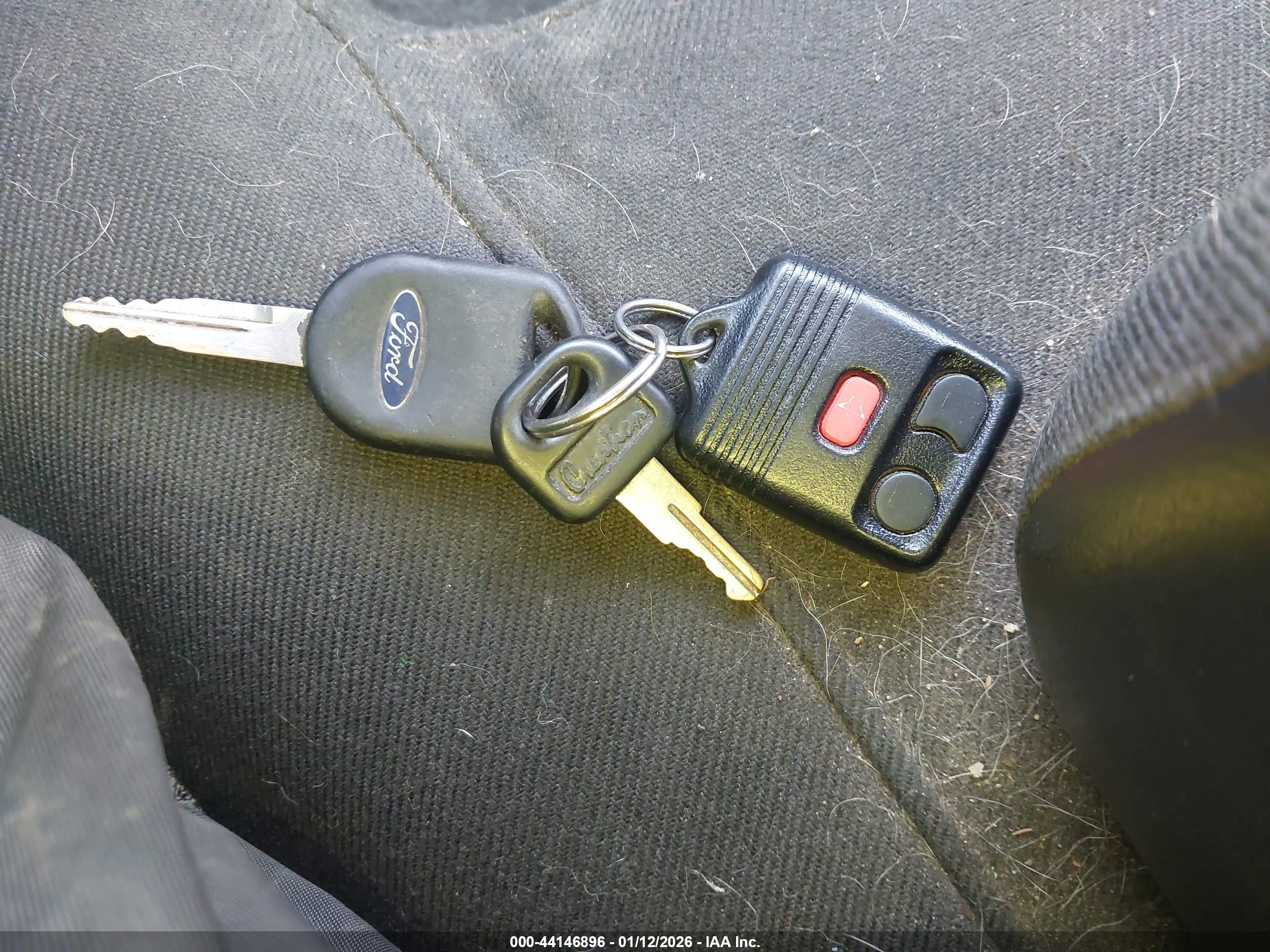 FORD RANGER image 11