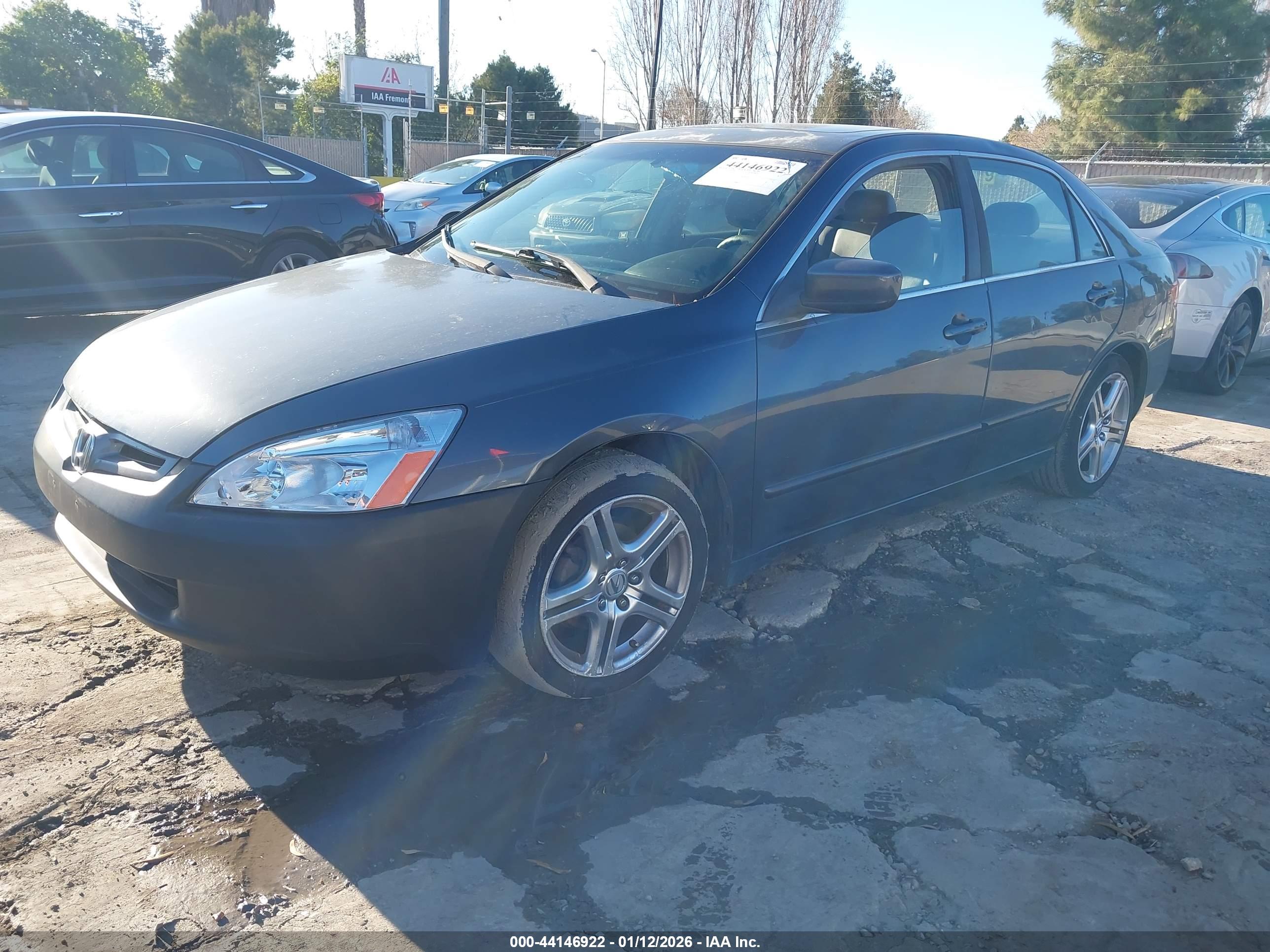 HONDA ACCORD image 2