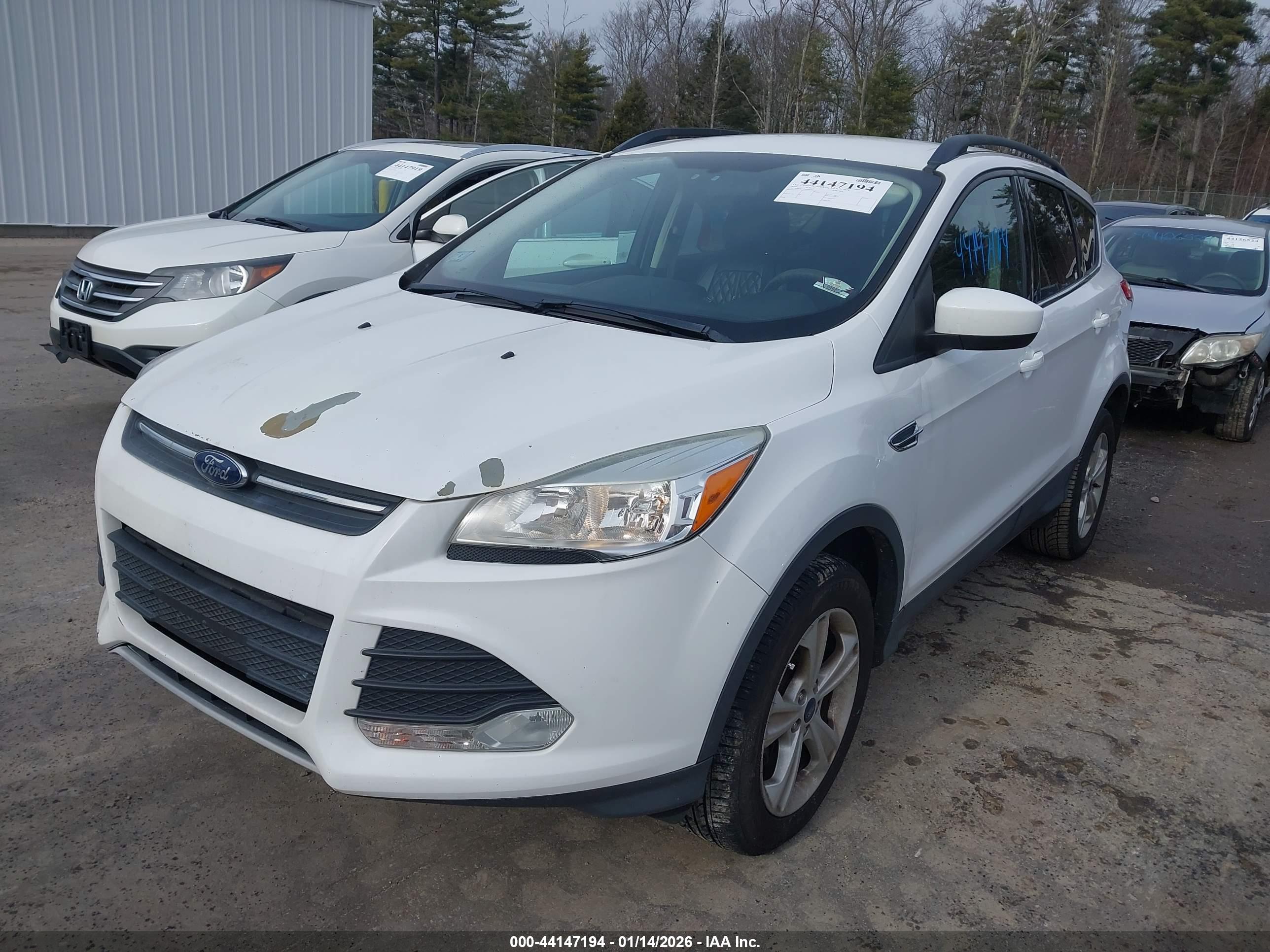 FORD ESCAPE image 2