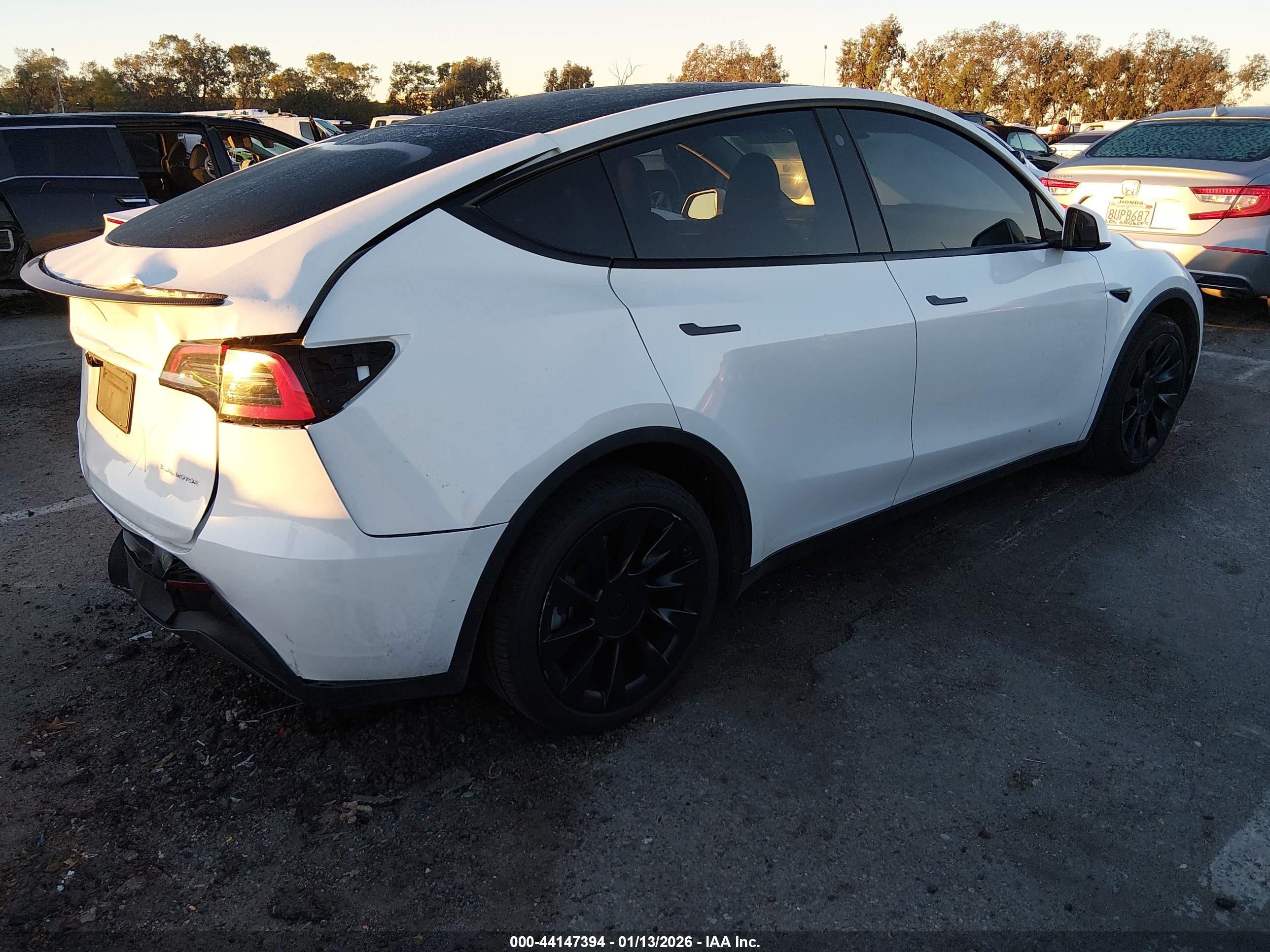 TESLA MODEL image 4