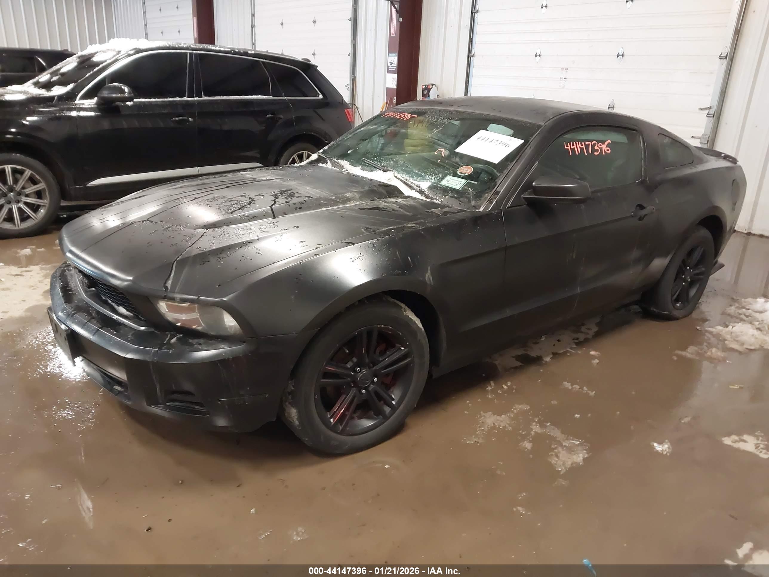 FORD MUSTANG image 2