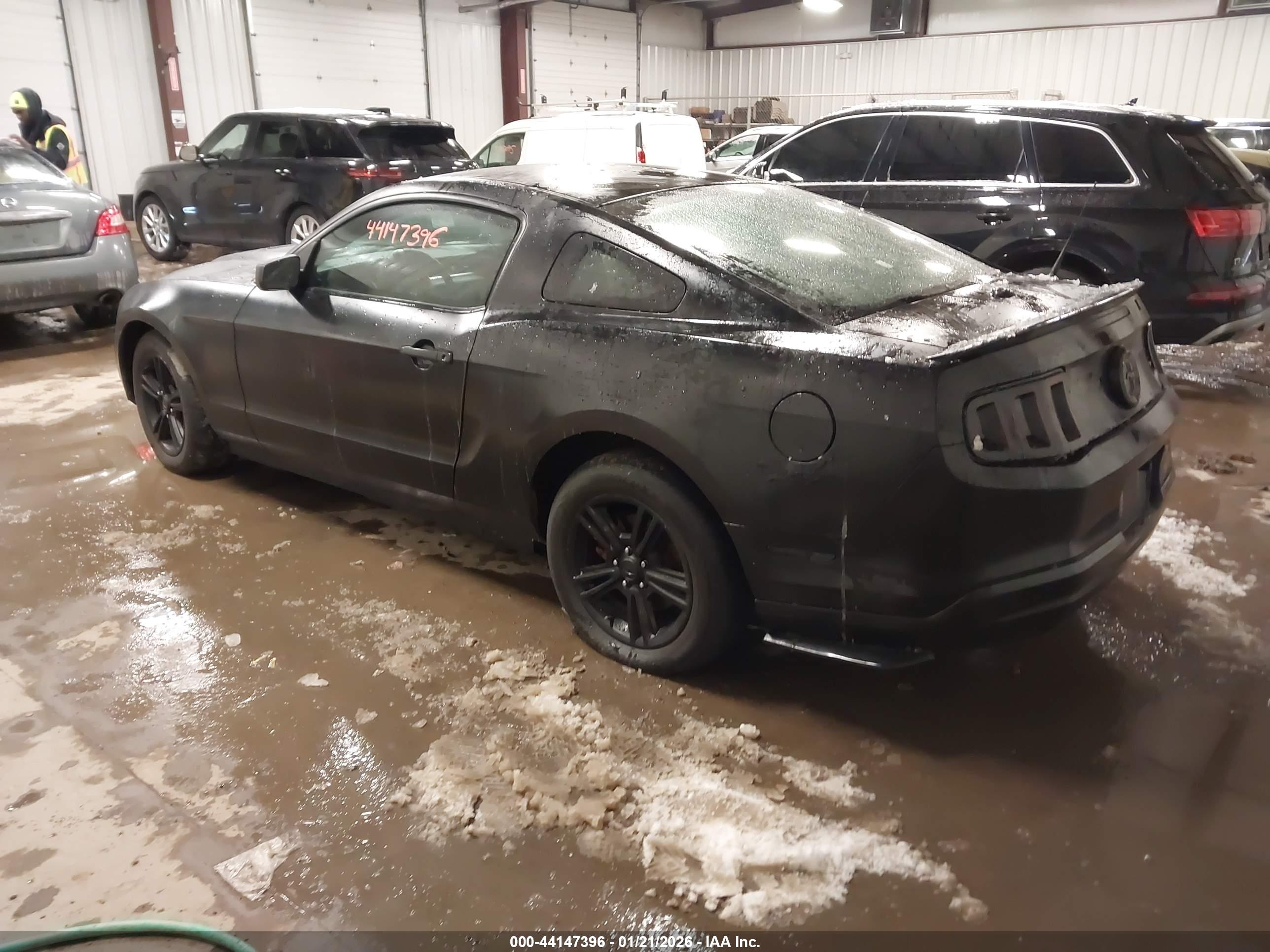 FORD MUSTANG image 3