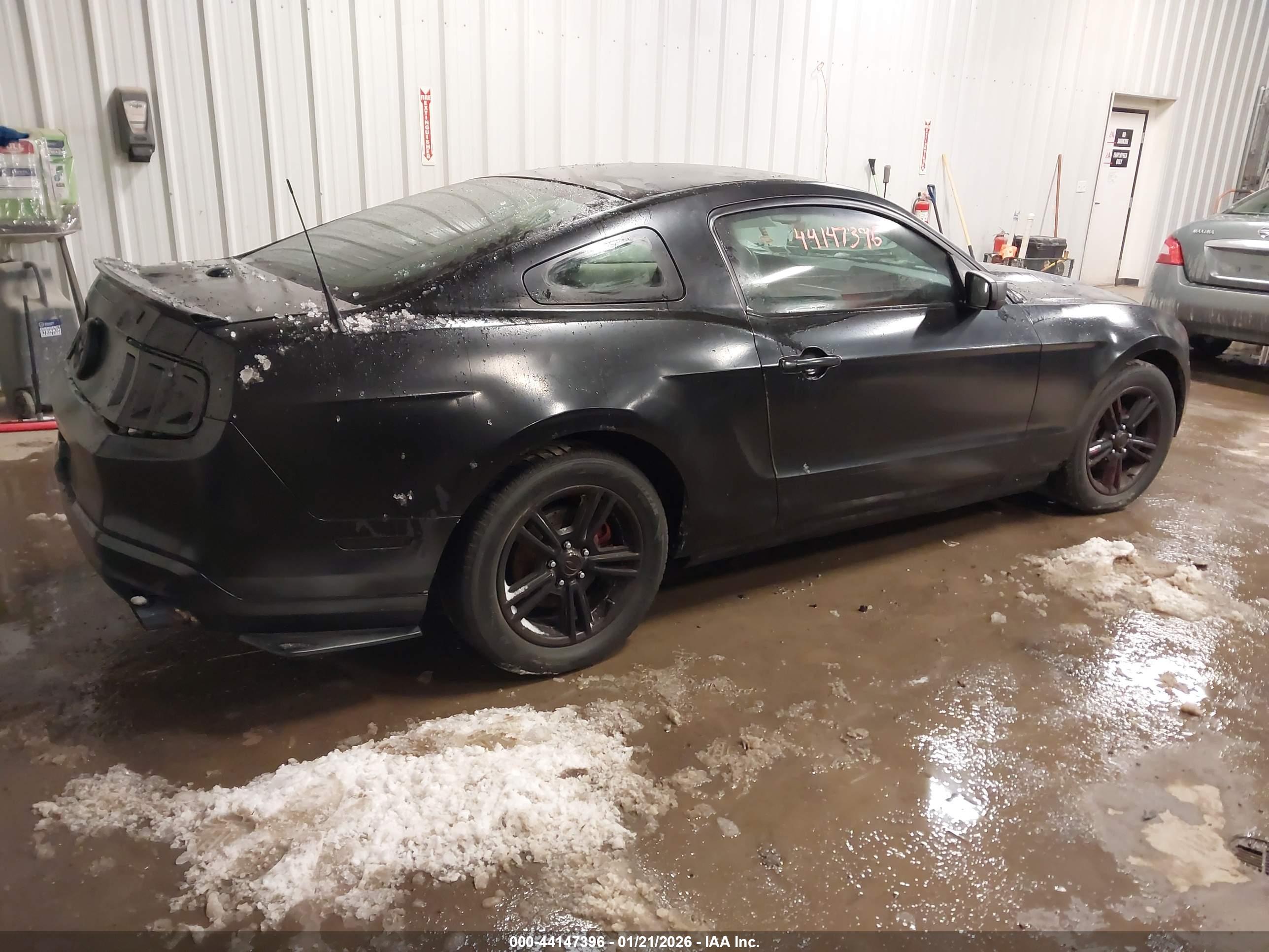 FORD MUSTANG image 4