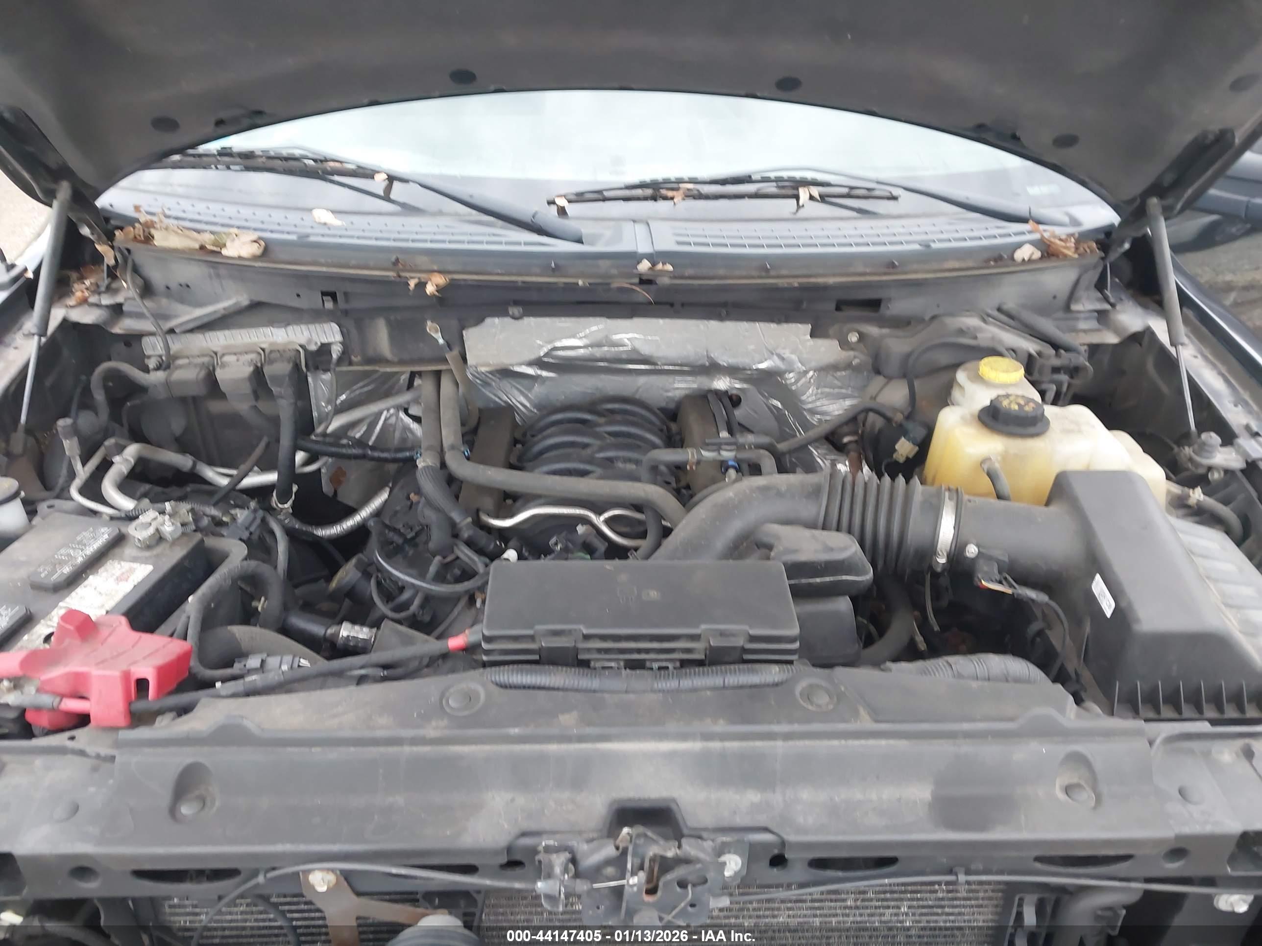 FORD F-150 image 10