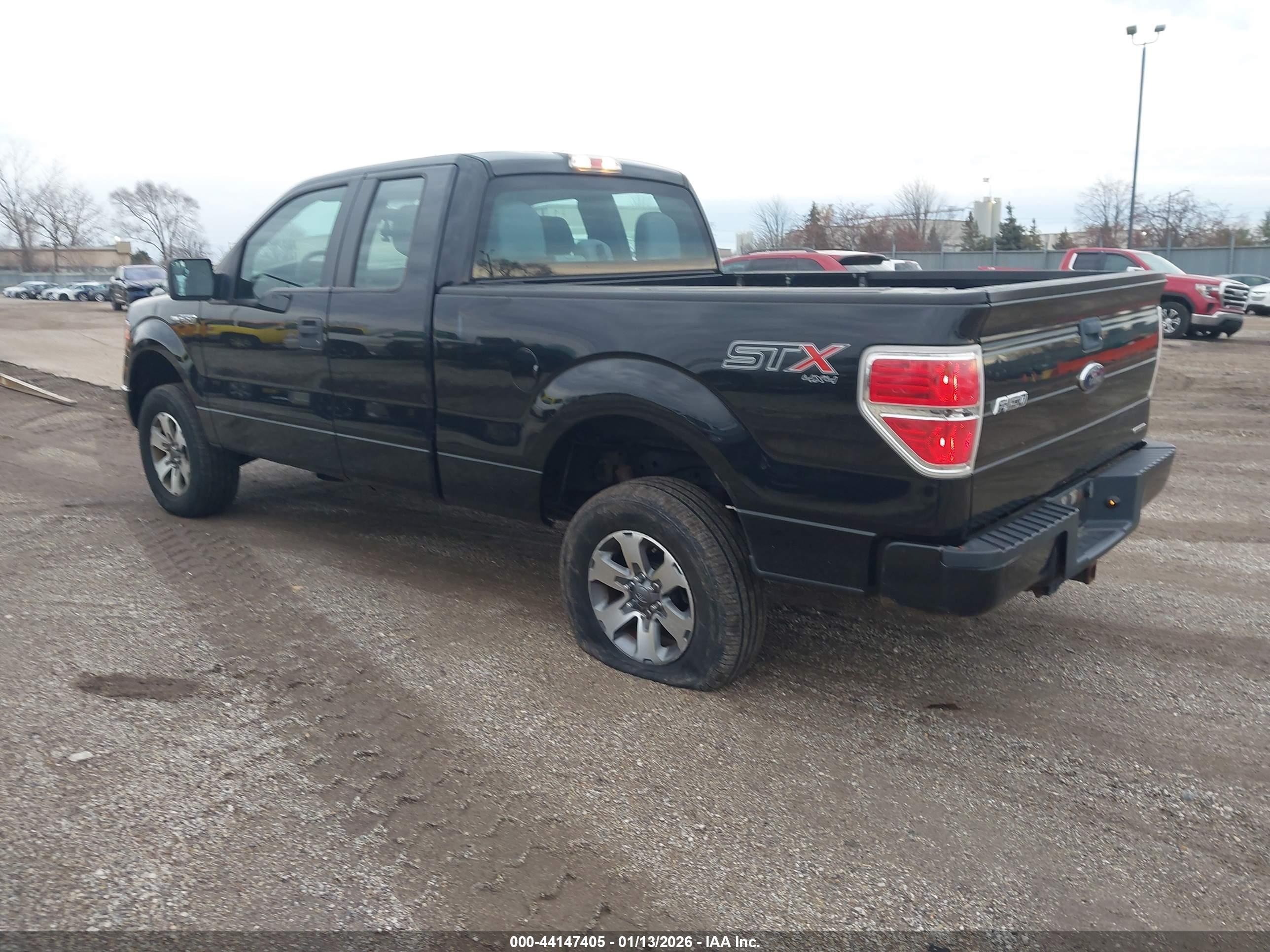 FORD F-150 image 3