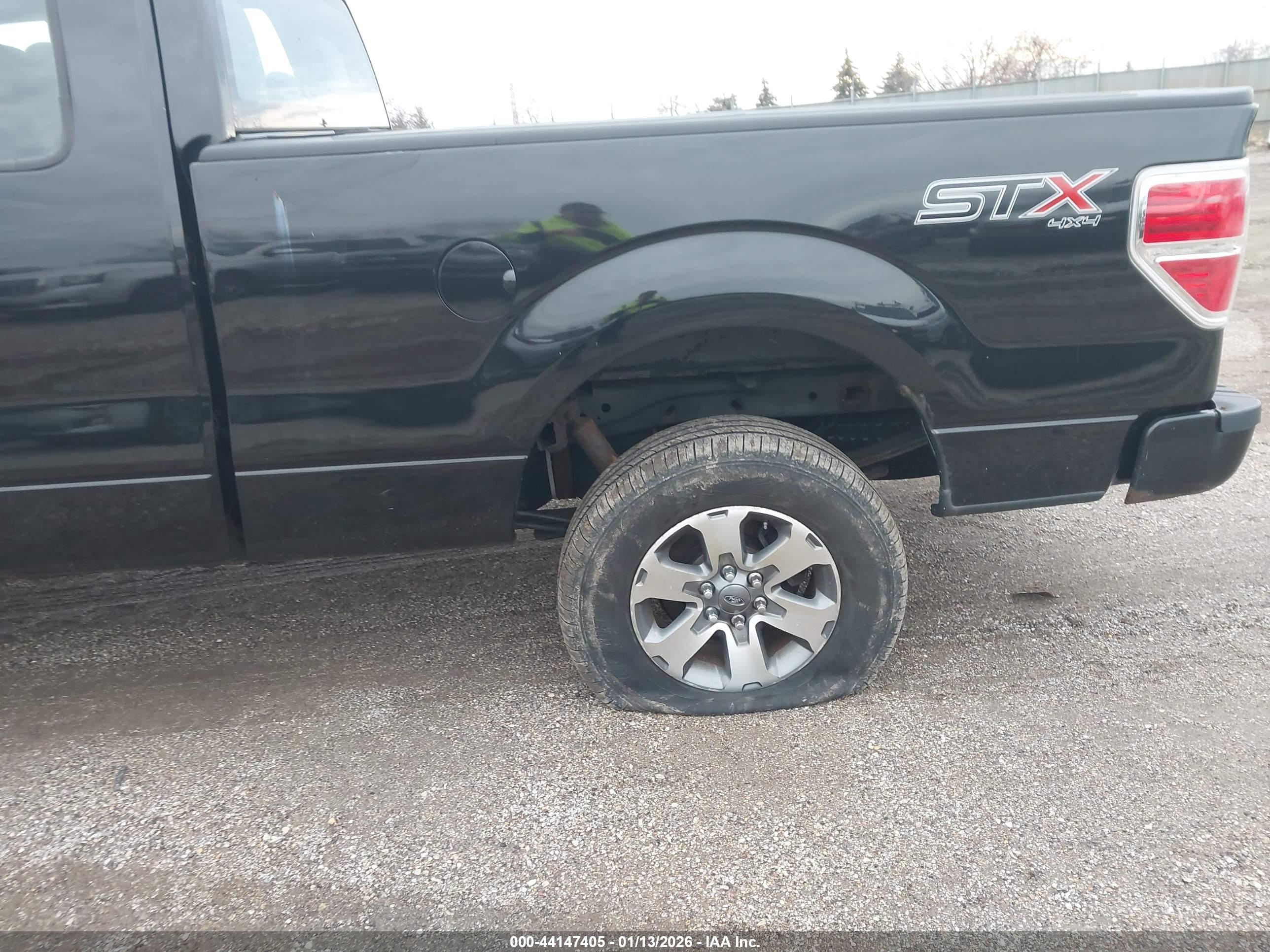 FORD F-150 image 6