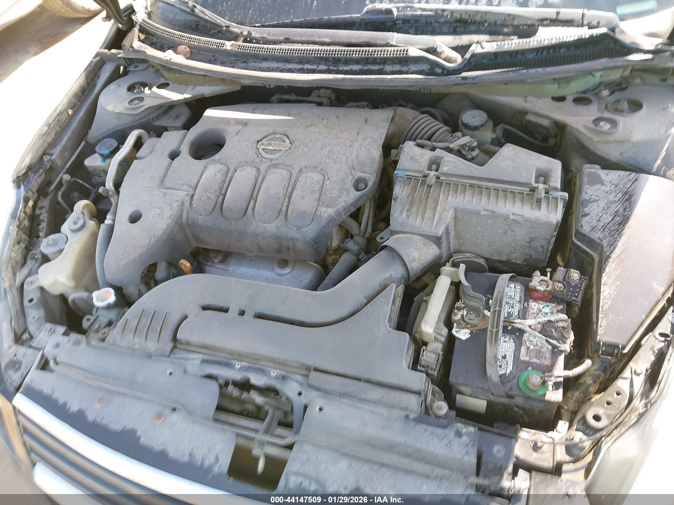 NISSAN ALTIMA image 10
