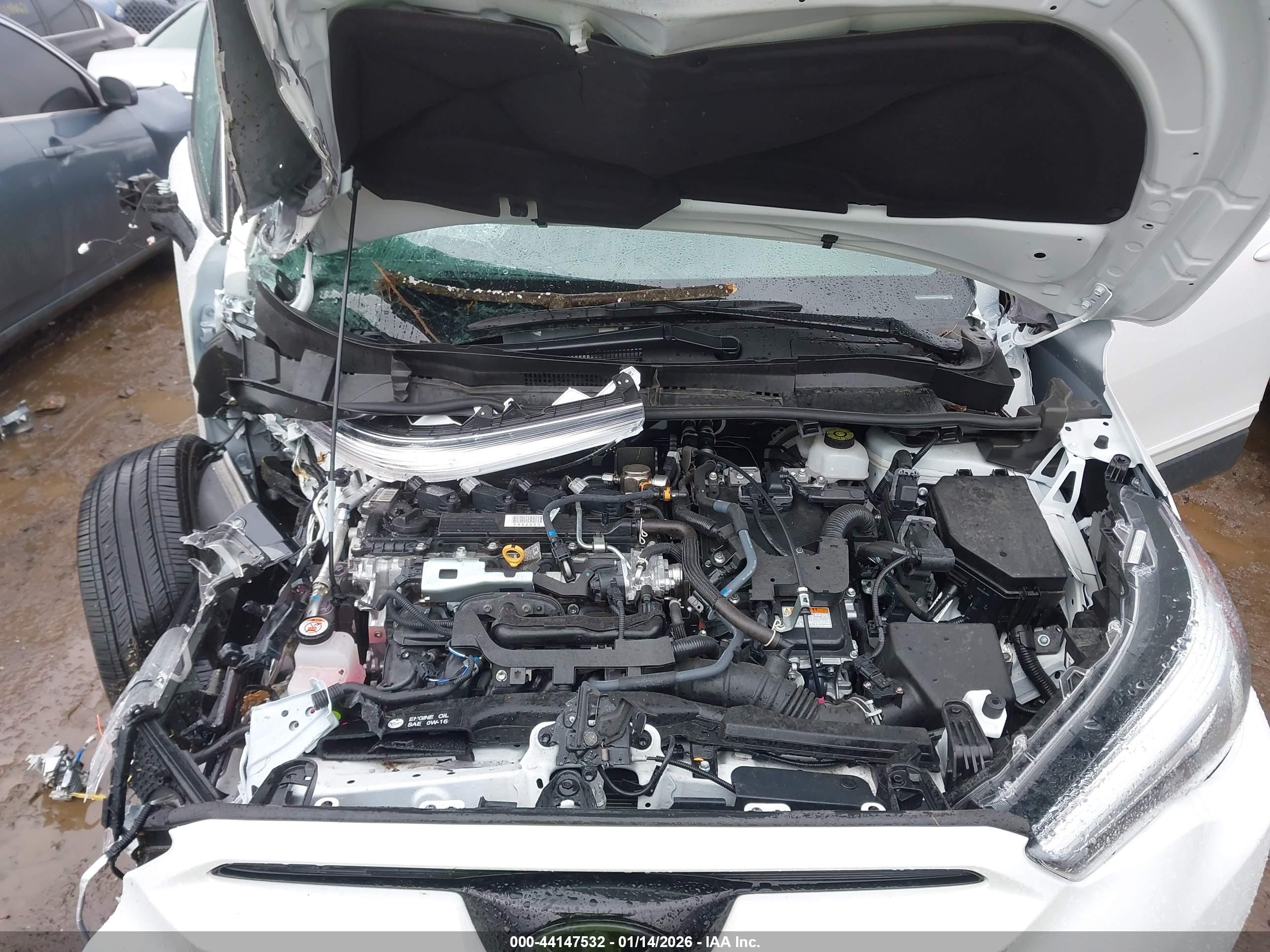 TOYOTA COROLLA image 10