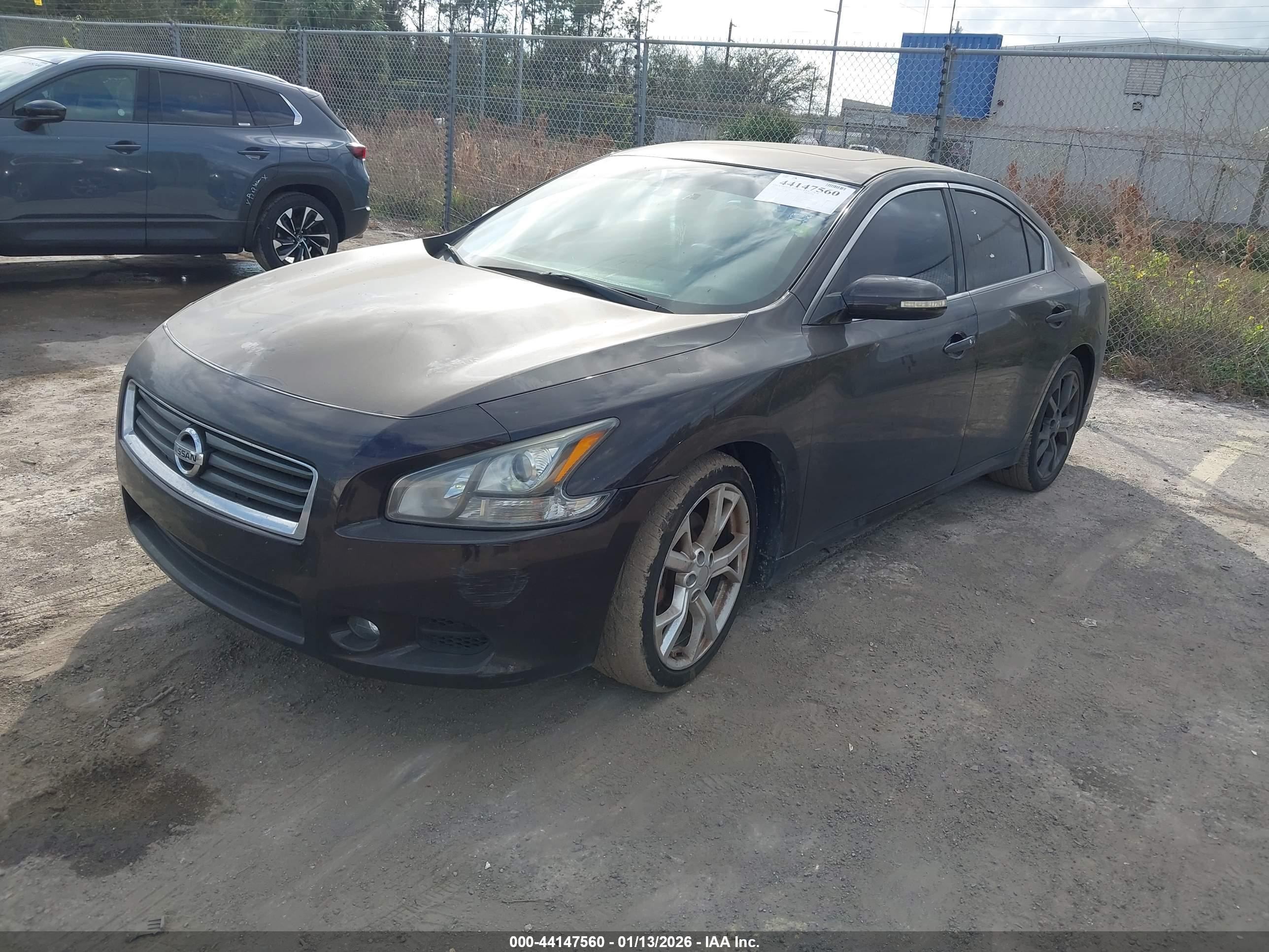 NISSAN MAXIMA image 2