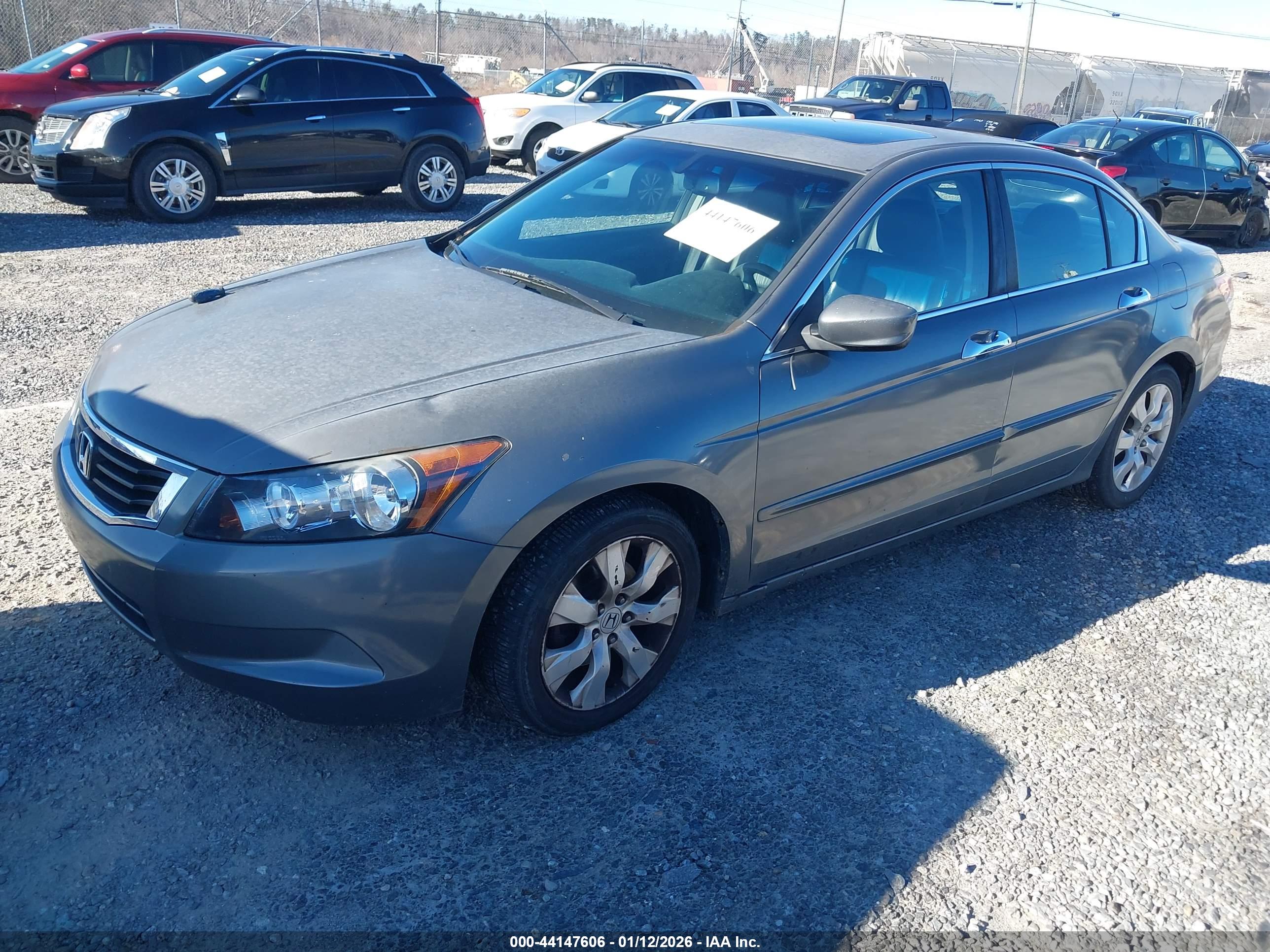 HONDA ACCORD image 2
