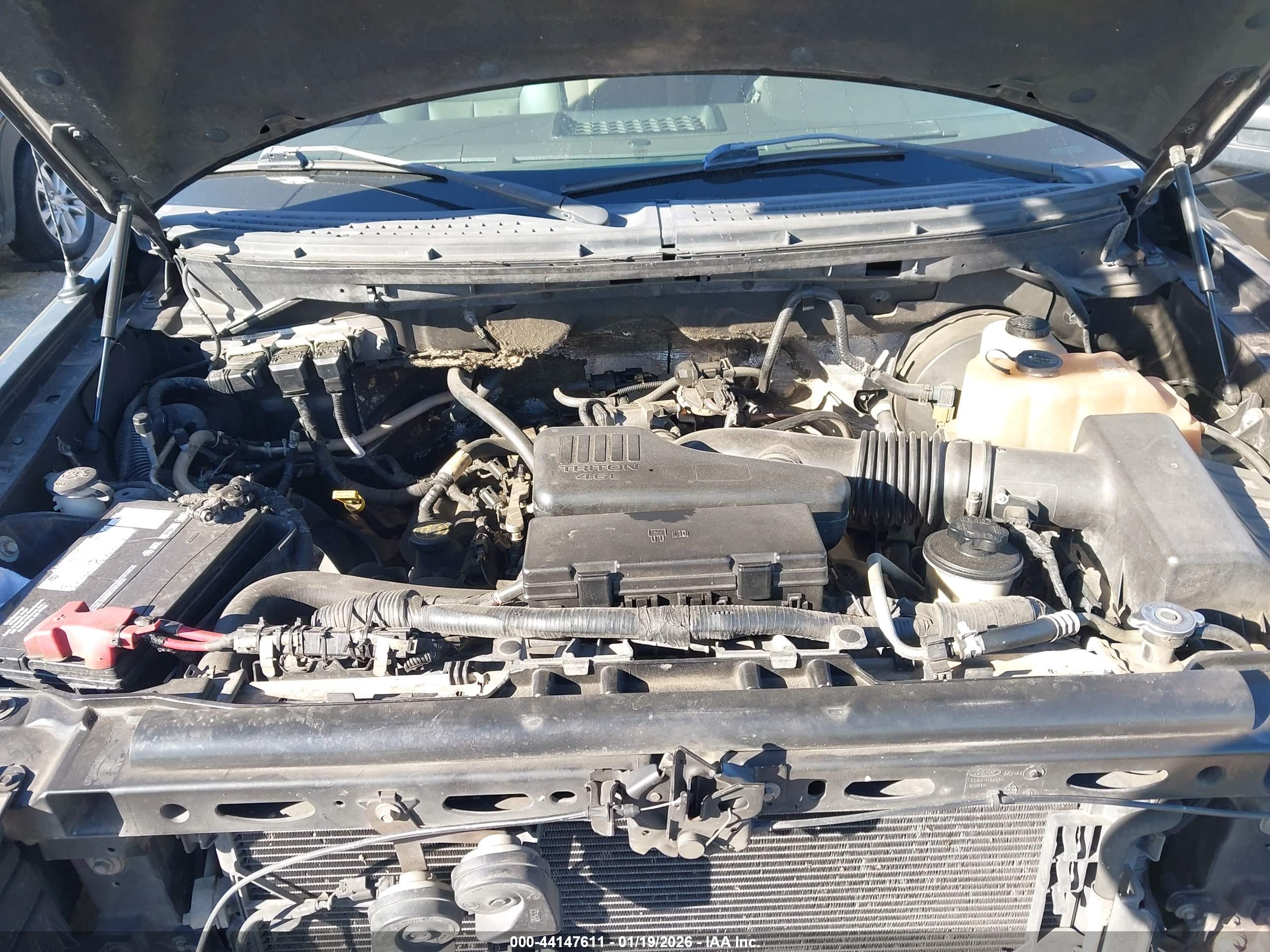 FORD F-150 image 10
