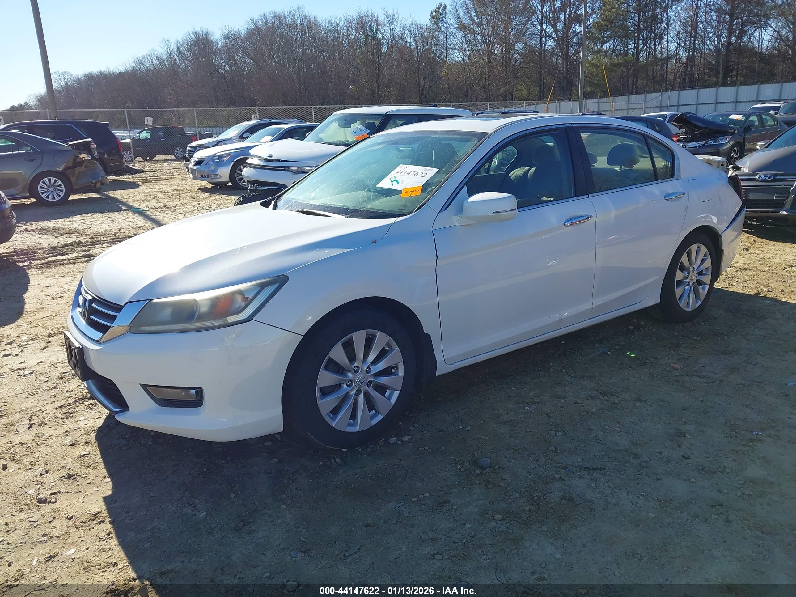 HONDA ACCORD image 2
