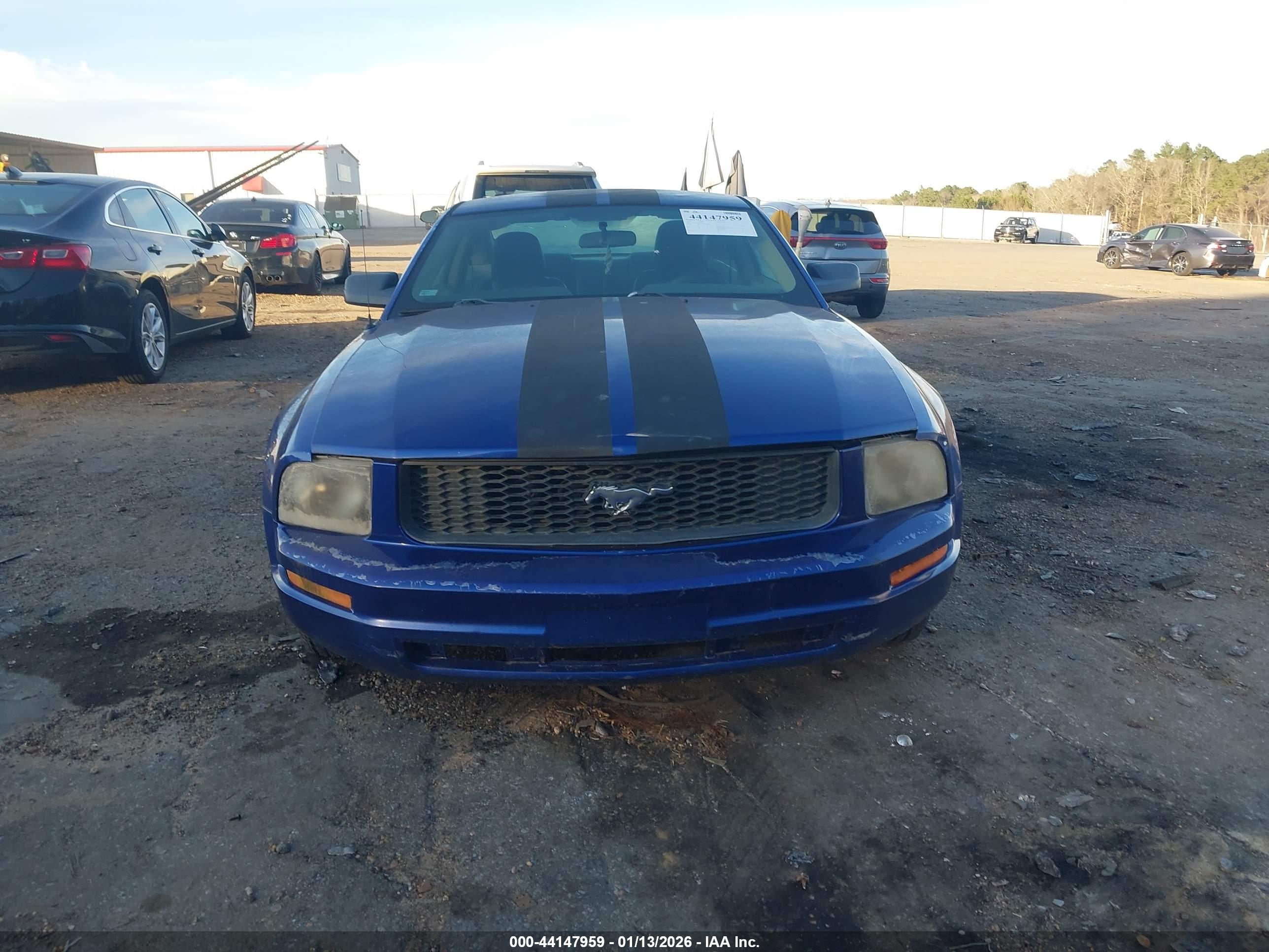 FORD MUSTANG image 6