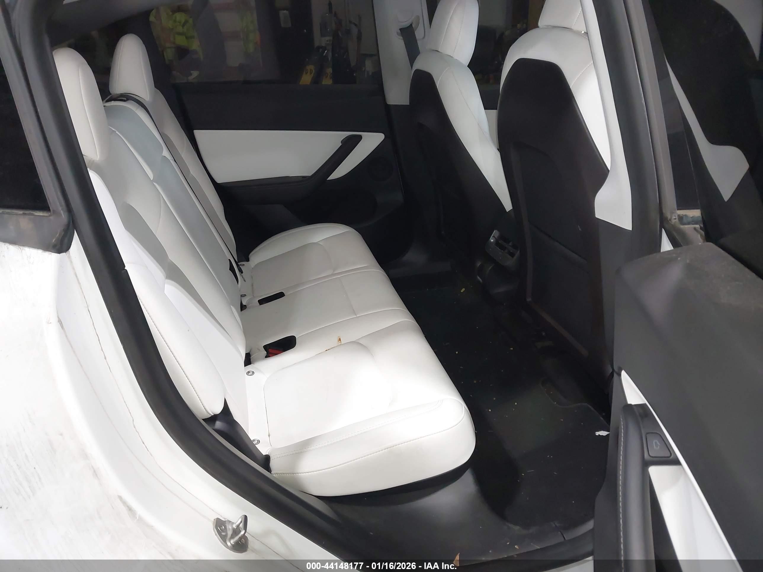 TESLA MODEL image 8