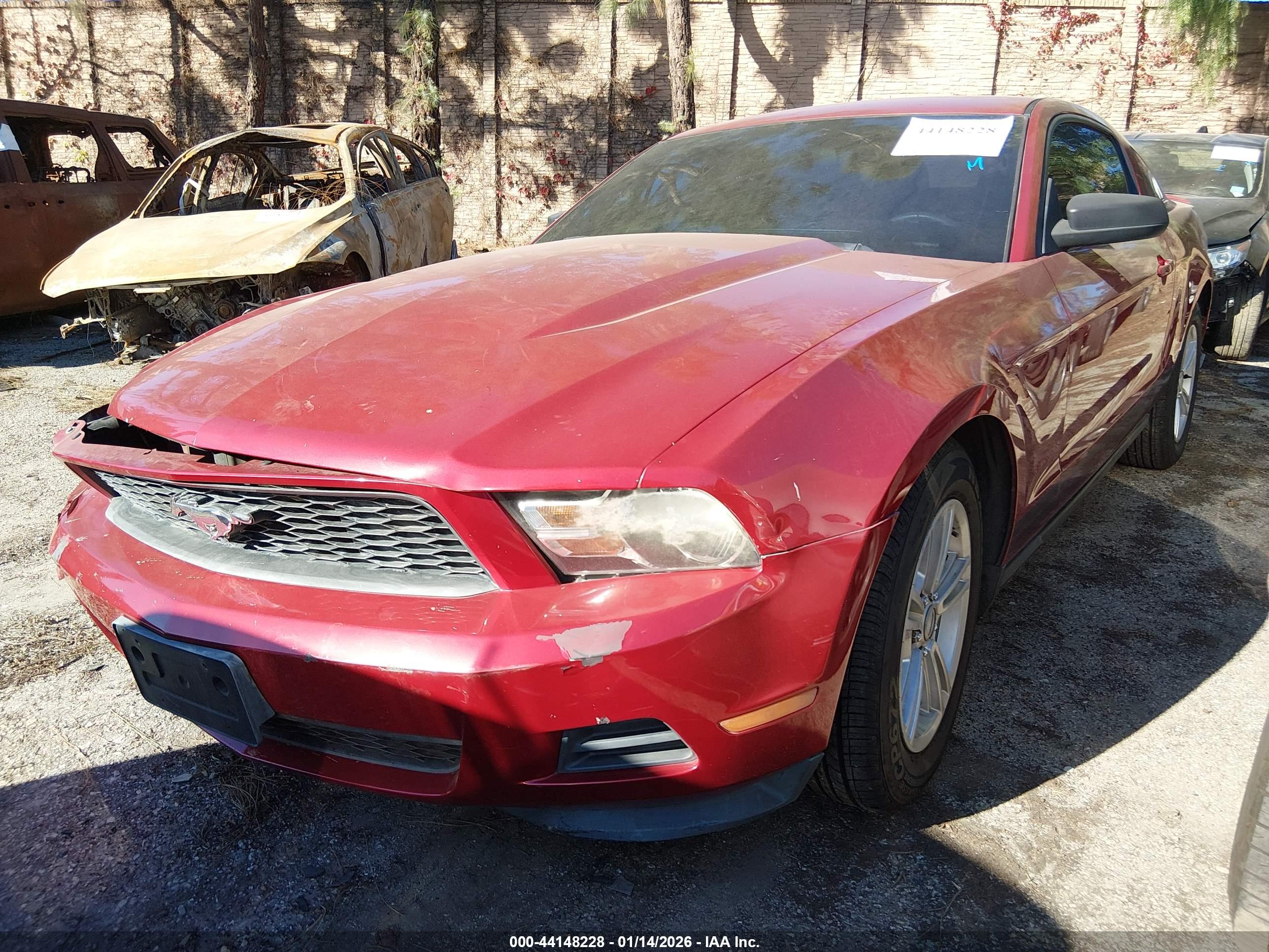 FORD MUSTANG image 2