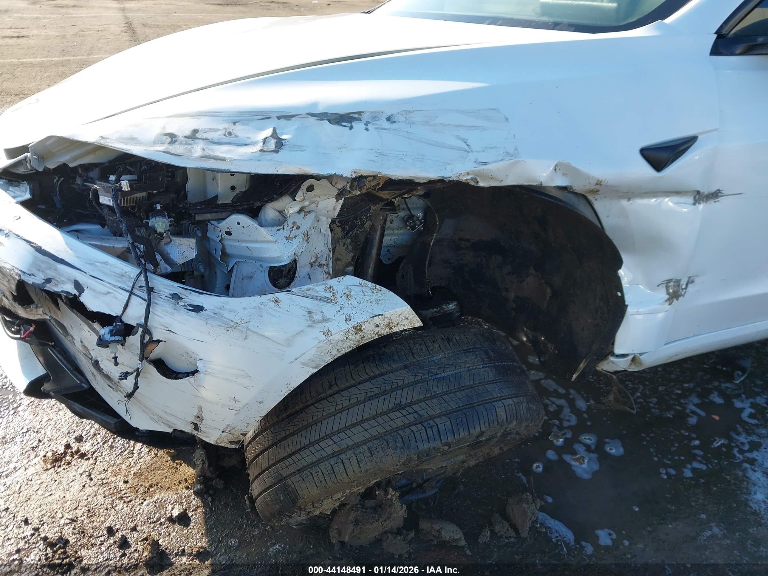 TESLA MODEL image 6
