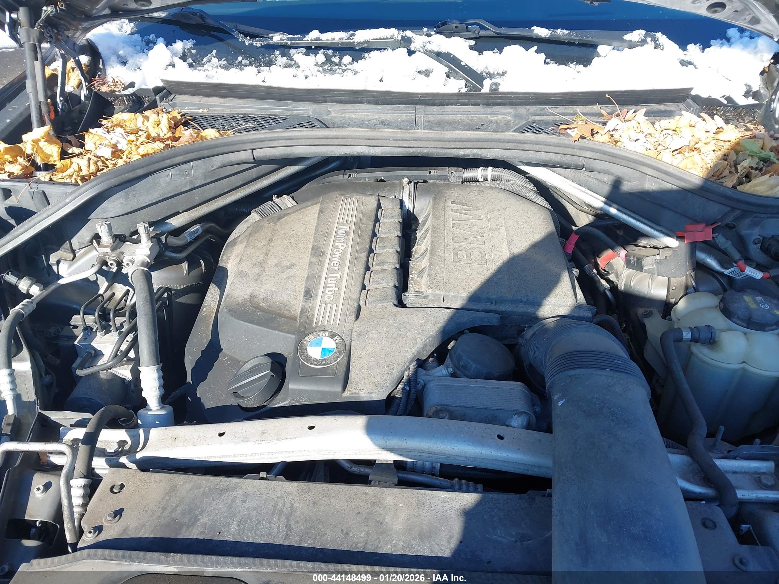 BMW X5 image 10