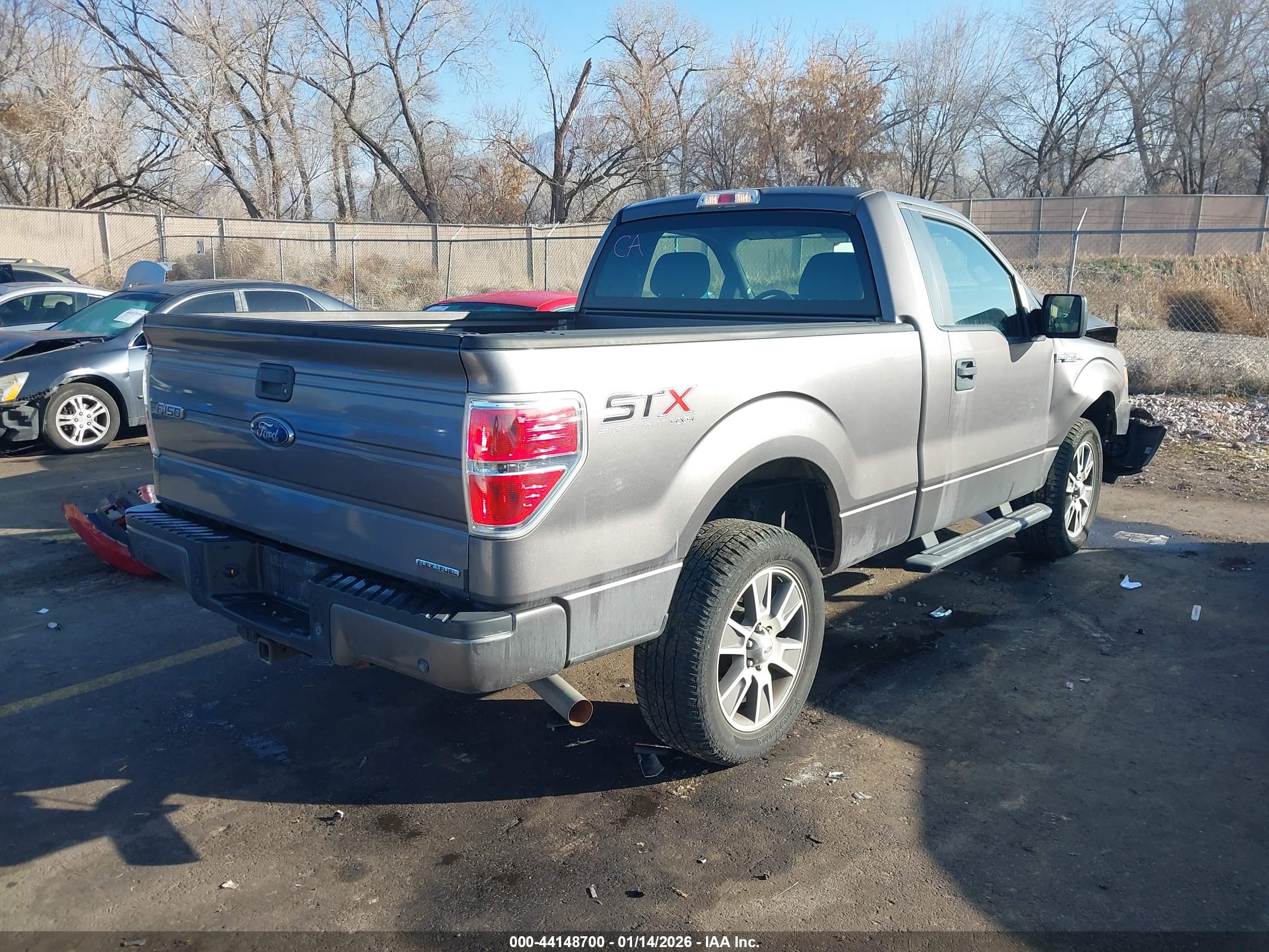 FORD F-150 image 4