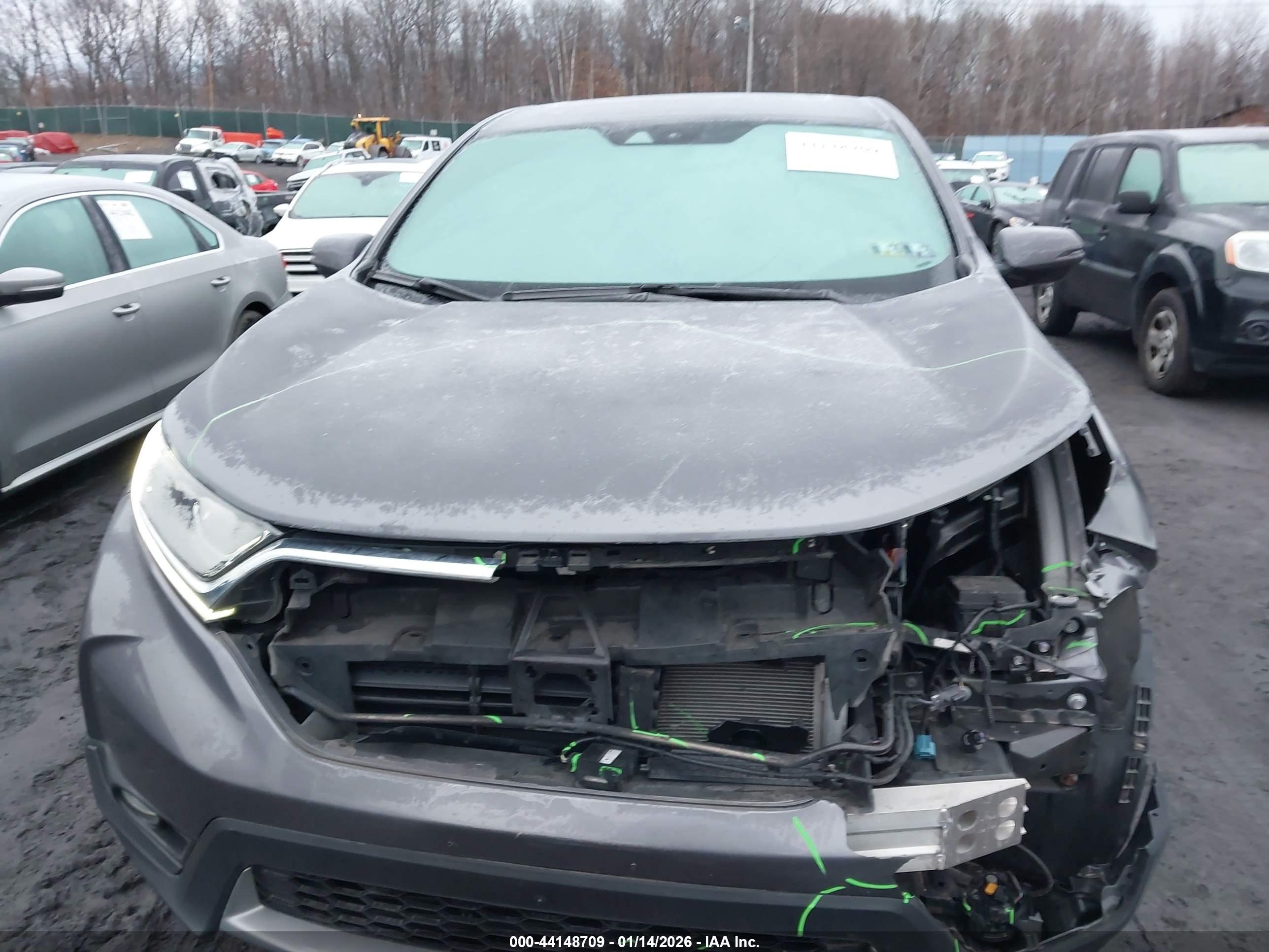 HONDA CR-V image 6