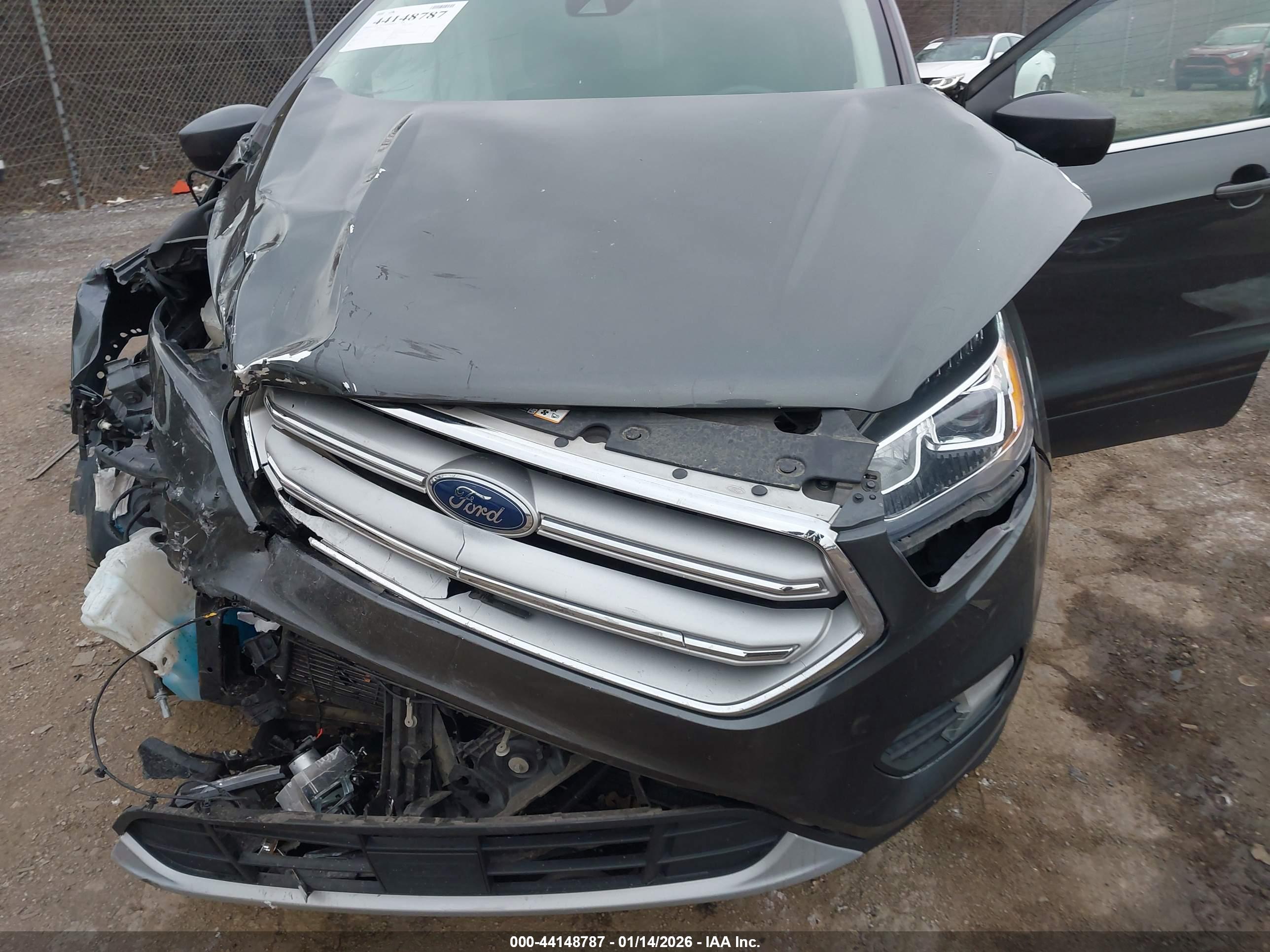 FORD ESCAPE image 6