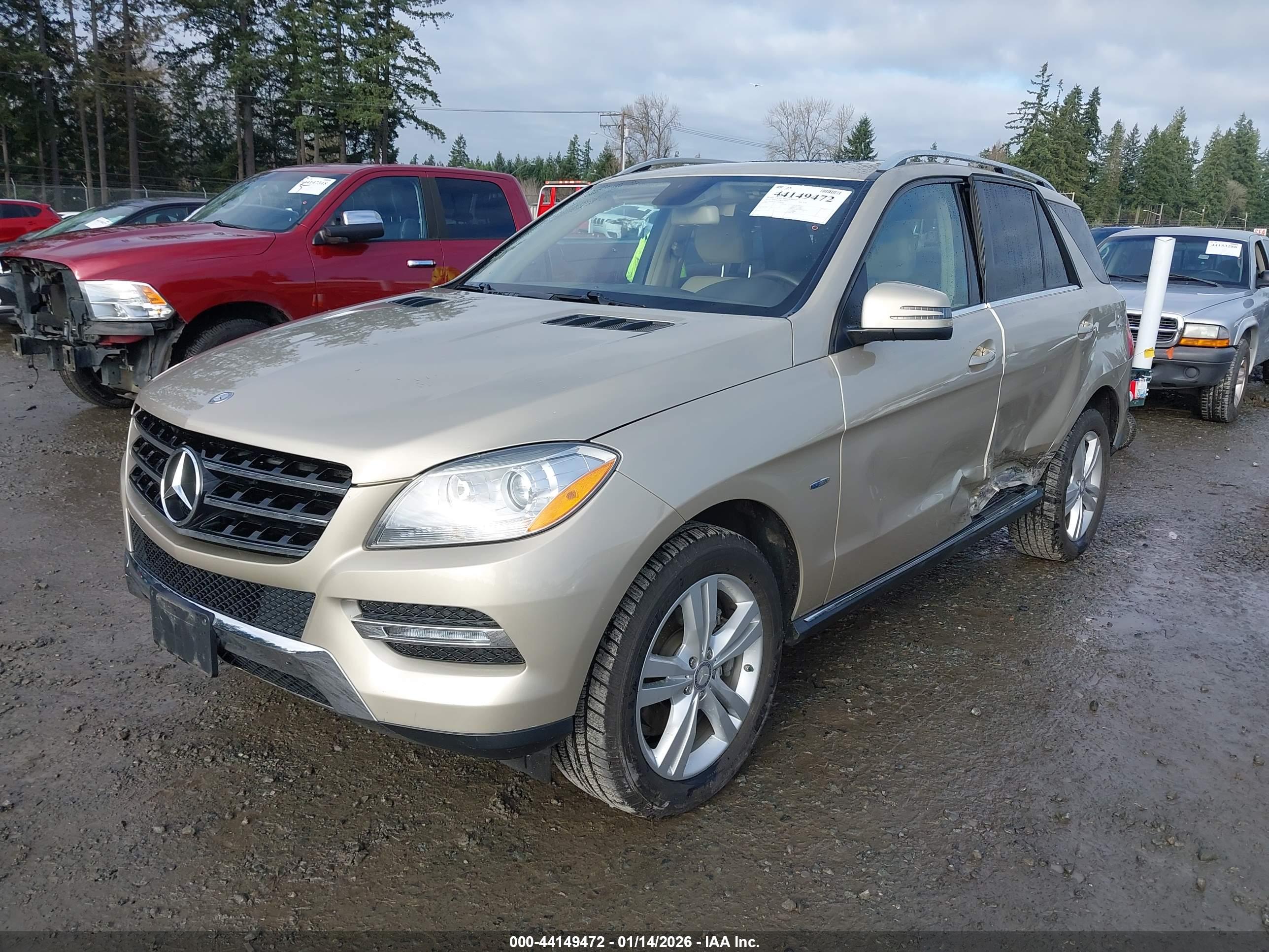 MERCEDES-BENZ ML image 2