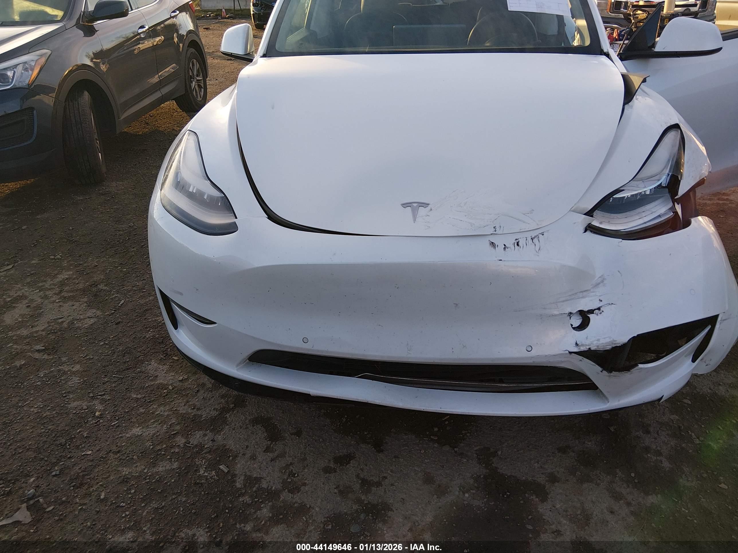 TESLA MODEL image 10