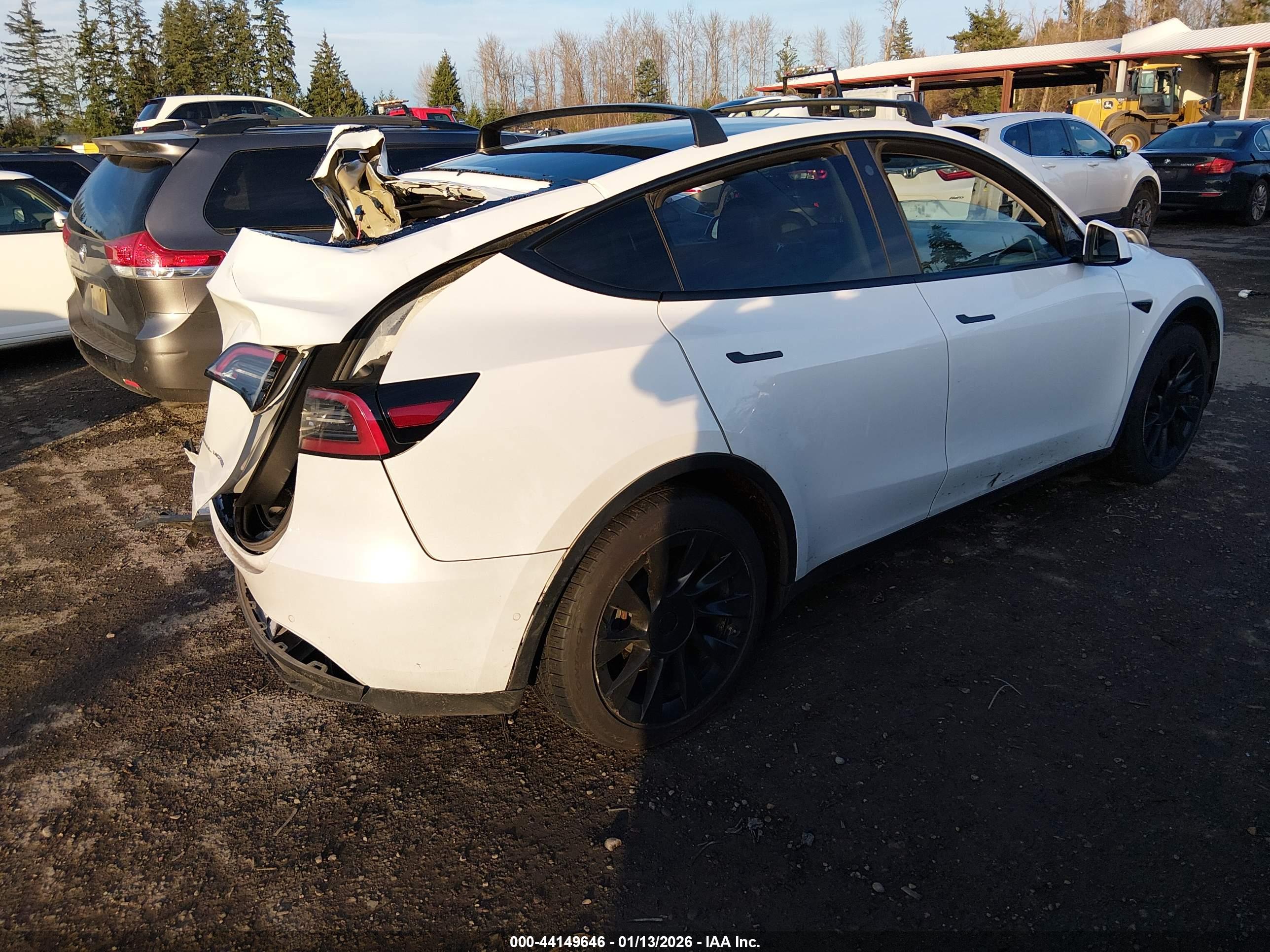 TESLA MODEL image 4